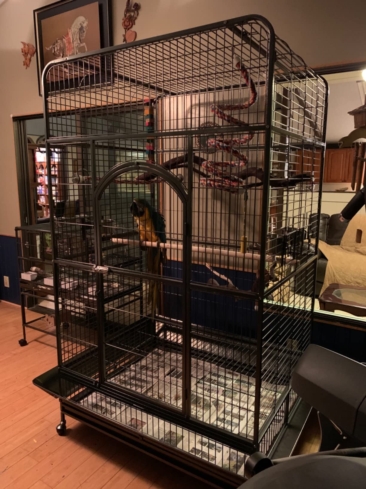 Prevue Pet Products Empire Bird Cage, X-Large, Black Hammertone,46
