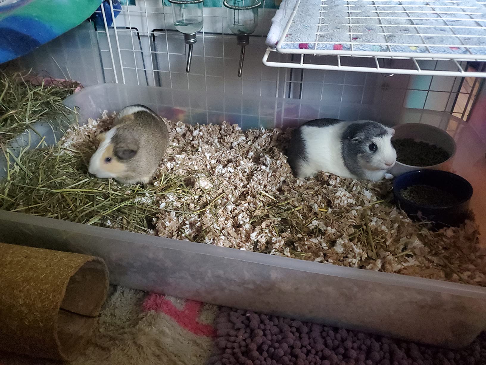 Oxbow Pure Comfort Small Animal Bedding, Natural, 56 L | Low Dust, Virgin Paper customer photo 1