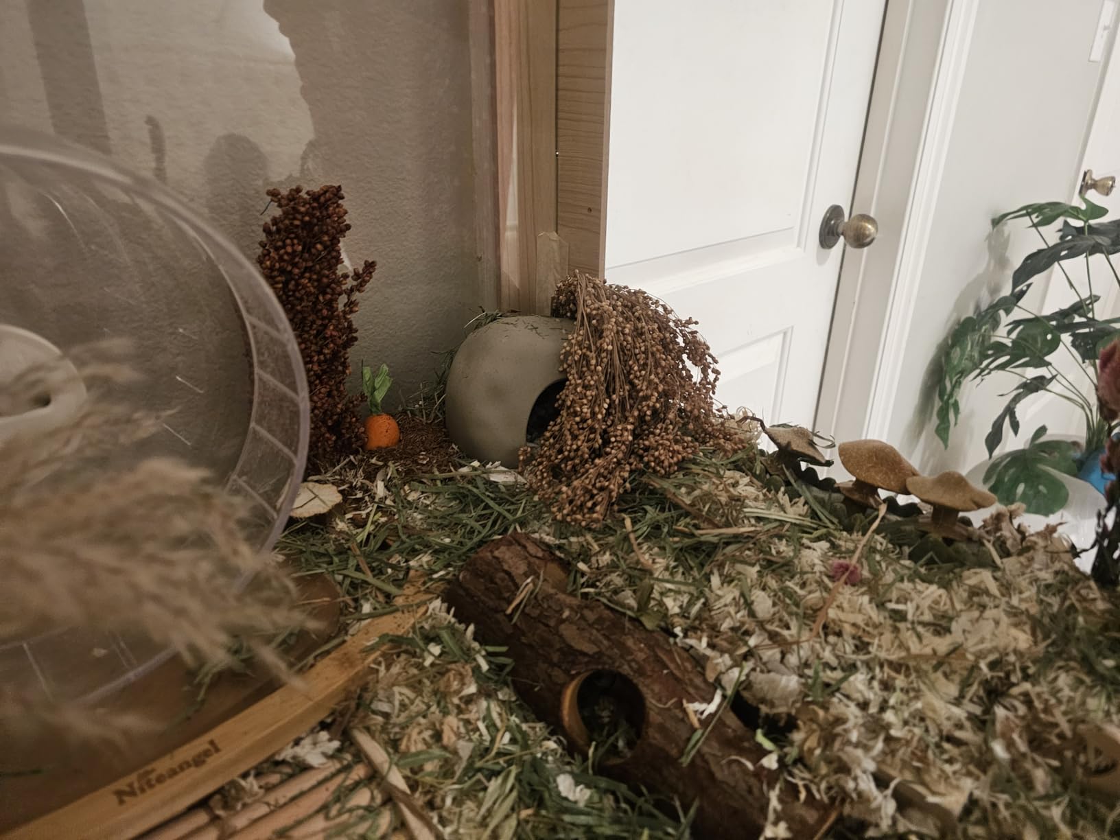 Niteangel Natural Wooden Hamster Mouse Tunnel Tube Toy Forest Hollow Tree Trunk customer photo 2