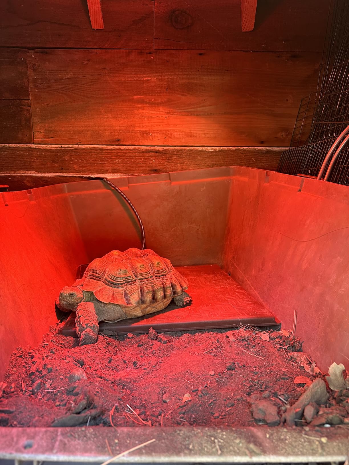 Zoo Med Reptihabitat Heater customer photo 2