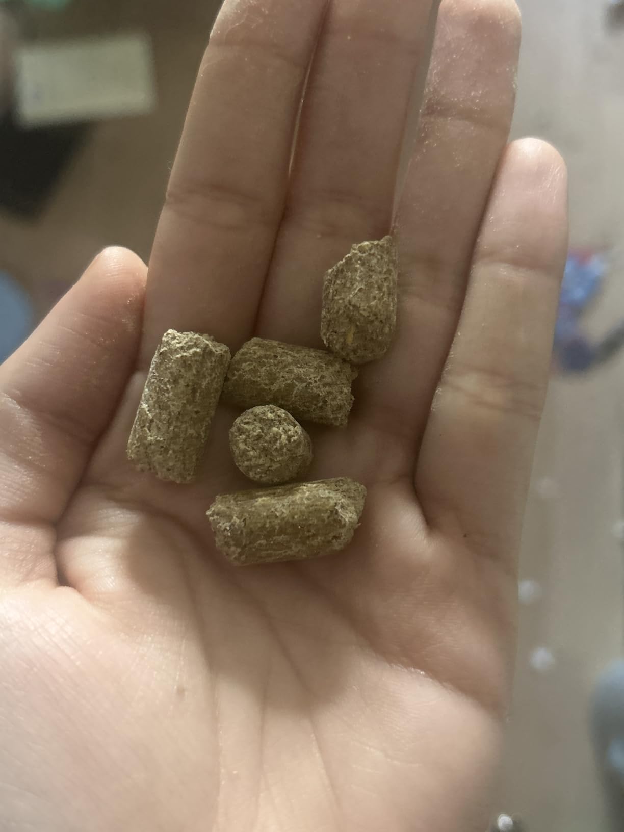 Oxbow Essentials Mouse & Young Rat Food, Complete Rodent Pellets, 2.5 lb customer photo 2