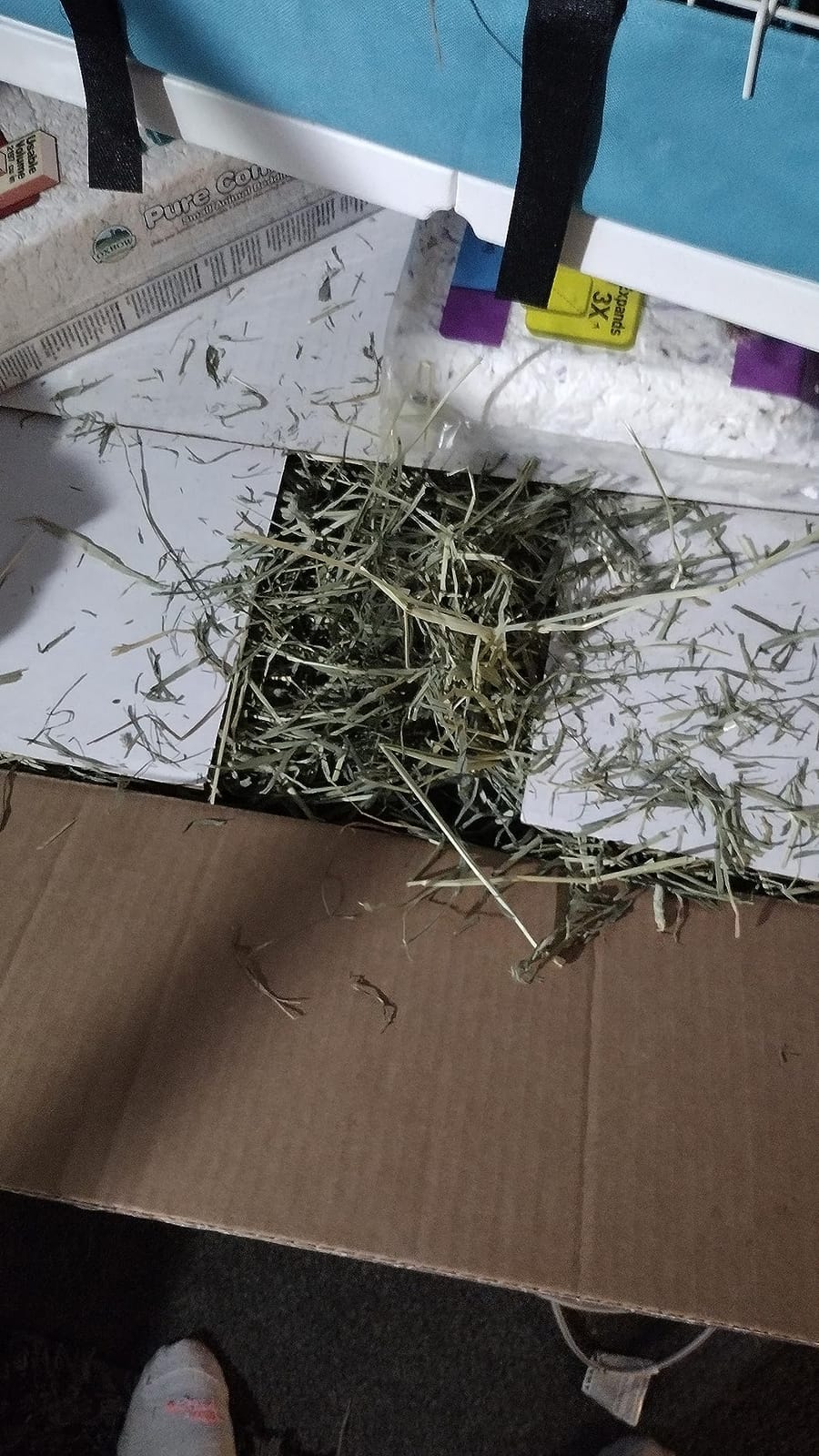Small Pet Select 1st Cut Timothy Hay Pet Food for Rabbits, Guinea Pigs, and Other Small Animals, Easy to Store Box, 10 LB | High Fiber Natural Hay, Grown in USA, Long Coarse Strands for Dental Wear, For Chinchillas, Hamsters, Bunnies & Small Pets customer photo 2