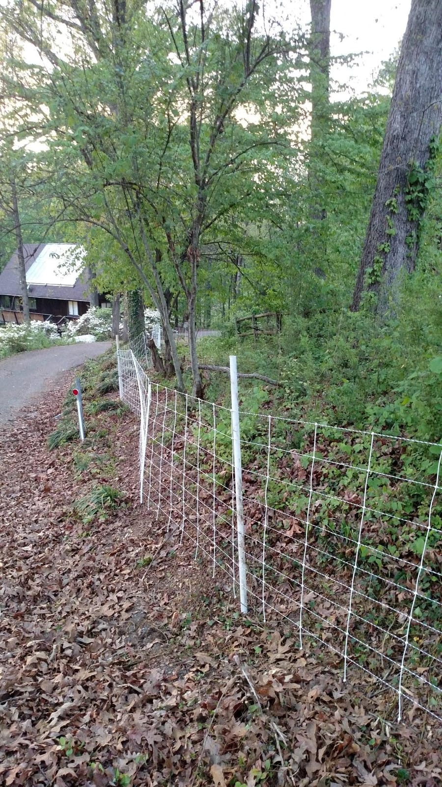 Premier 1 ElectroStop® Single Spike Fence - Sheep & Goats - 42