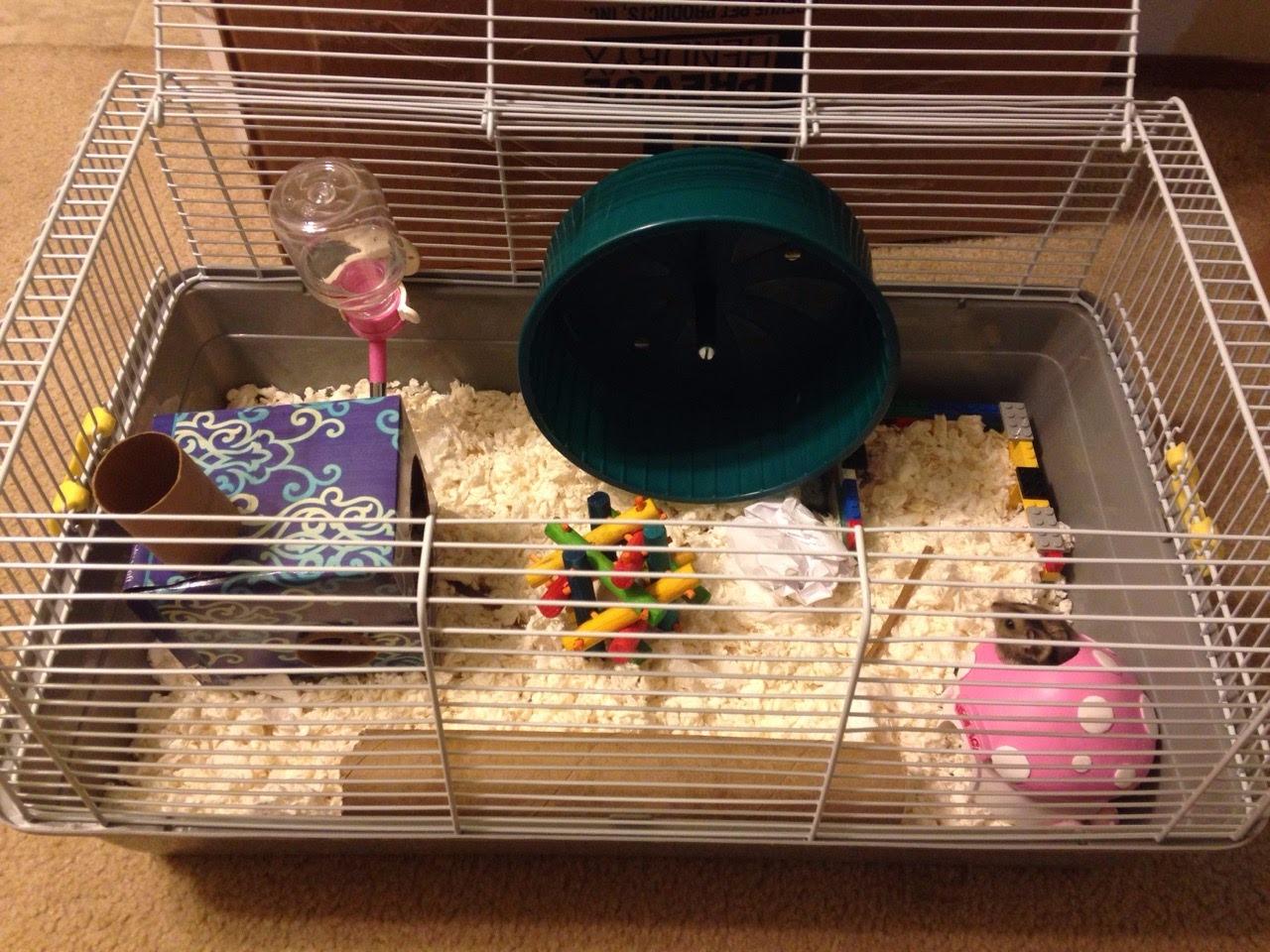 Prevue Pet Products Small Animal Travel Carrier Travel Bird Cage - Gray | Hamster, Bird, Parakeet, Gerbil, Rabbit, Ferret, Guinea Pig & Rat Carrier customer photo 1