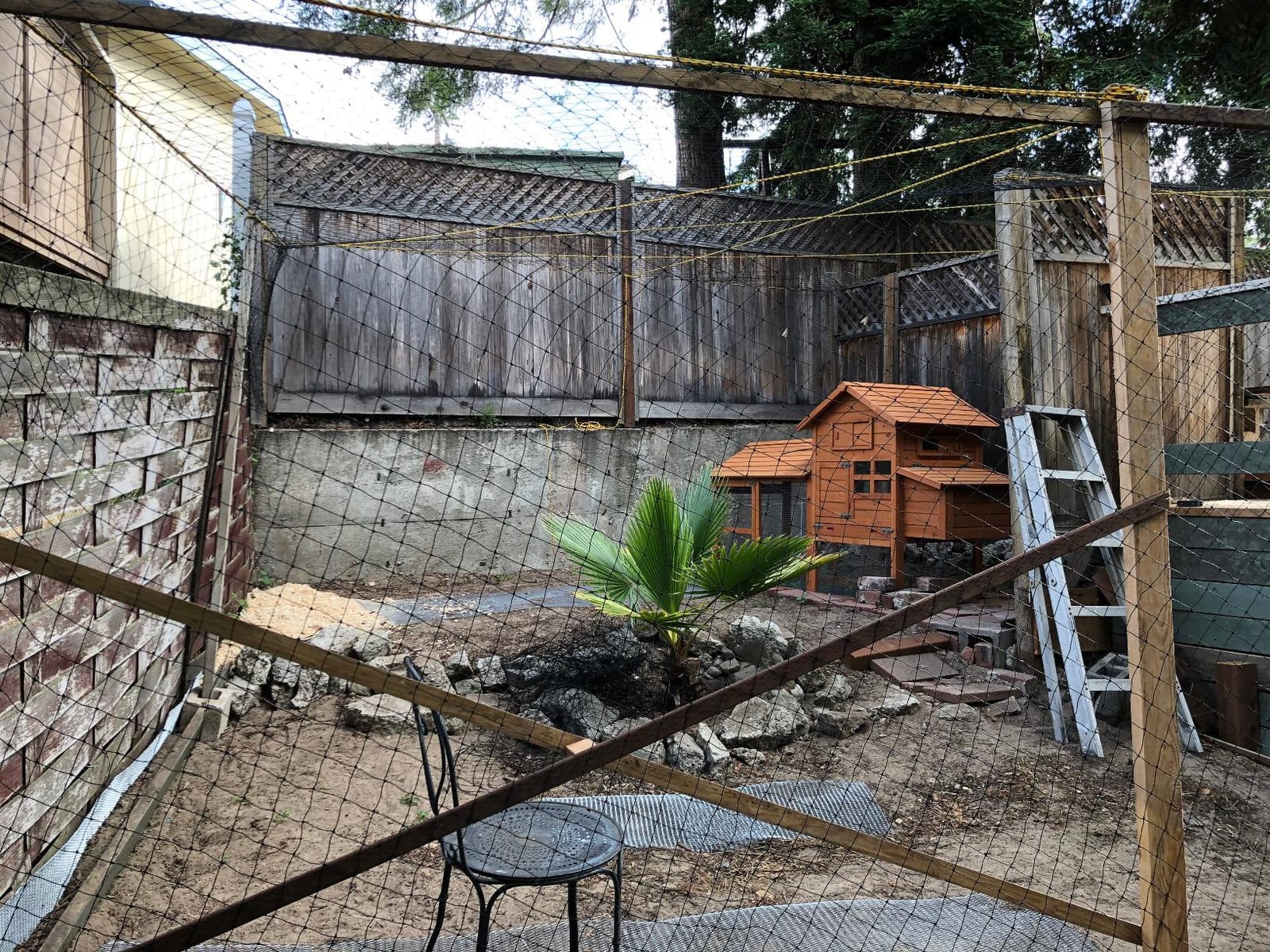 Aviary Netting Heavy Knotted 2 inch Poultry Net (25 ft x 50 ft) customer photo 1