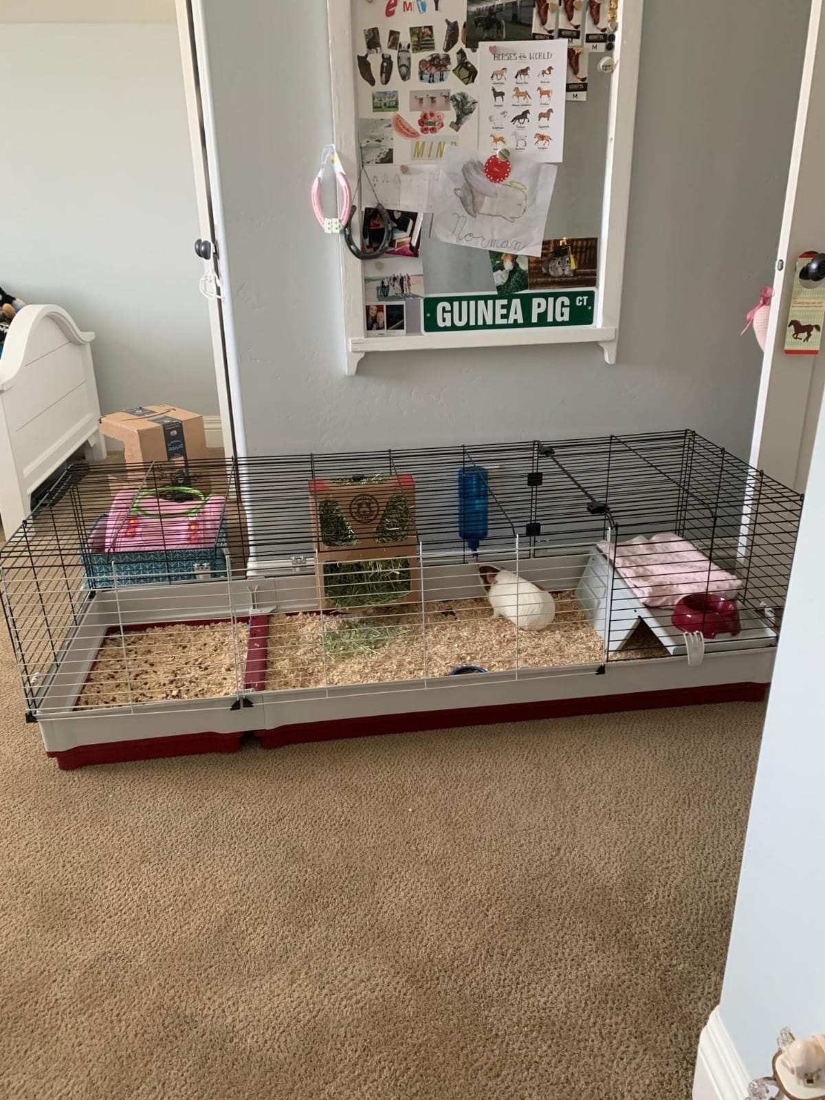 Ferplast Krolik XXL Rabbit Cage w/Wire Extension | Rabbit Cage Includes All Accessories & Measures 63.8L x 23.62W x 19.68H Inches | 1-Year Warranty customer photo 1