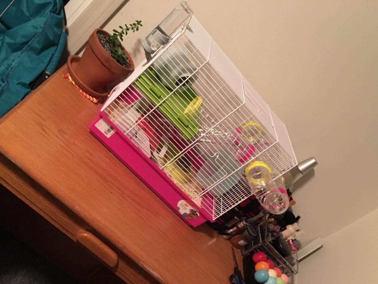 Ferplast Laura Small Hamster Cage | Fun & Interactive Cage Measures 18.11L x 11.61W x 14.8H & Includes All Accessories customer photo 1