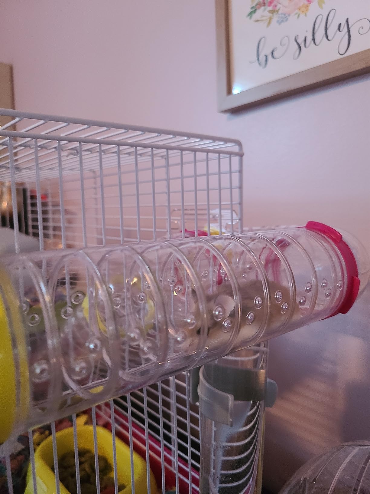 Ferplast Laura Small Hamster Cage | Fun & Interactive Cage Measures 18.11L x 11.61W x 14.8H & Includes All Accessories customer photo 2