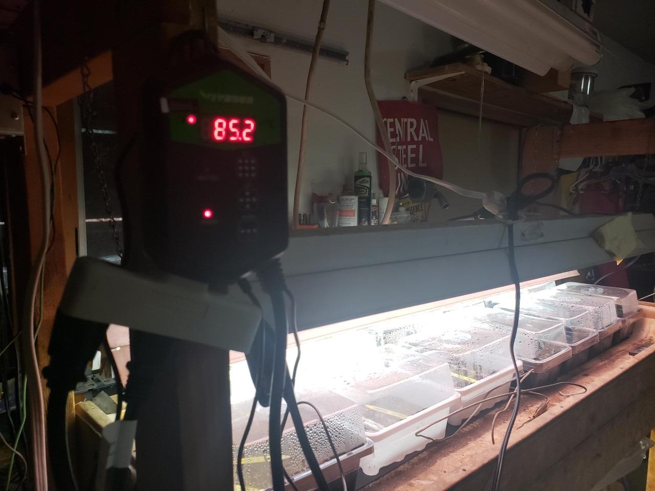 VIVOSUN Digital Heat Mat Thermostat Controller, 40-108 ºF 1000W for Reptiles, Seedlings, Germination, Incubation and Fermentation customer photo 2