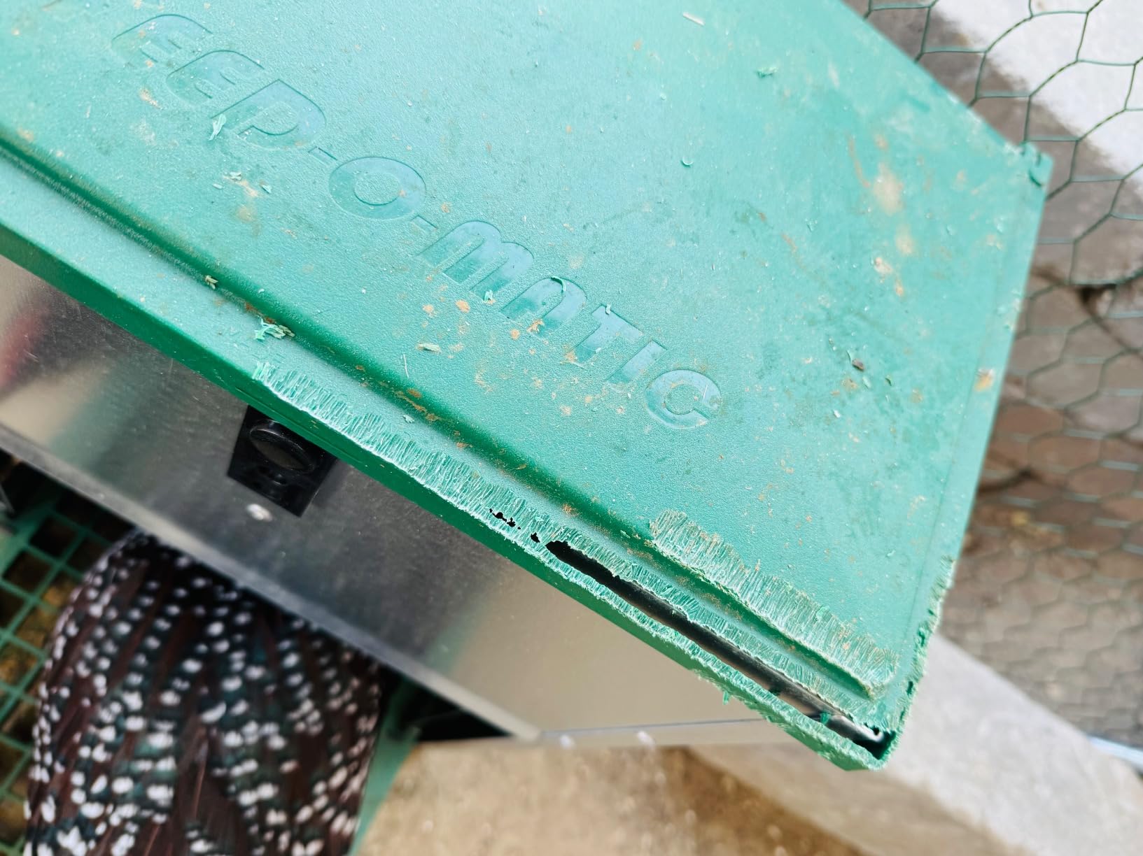 Olba B.V. Feedomatic Automatic Poultry Feeder, 12 kg customer photo 1