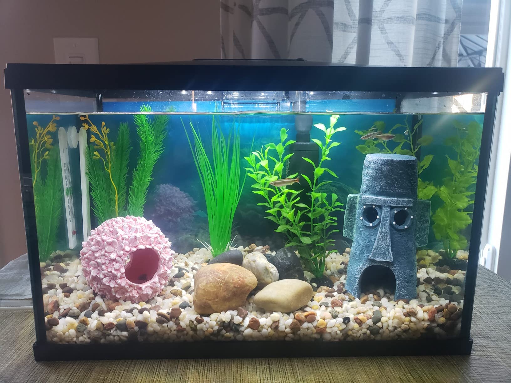 Marina 5 Gallon (19 L) LED Aquarium Kit | Ideal for Beginner Aquarists and New Fish-Keepers customer photo 1