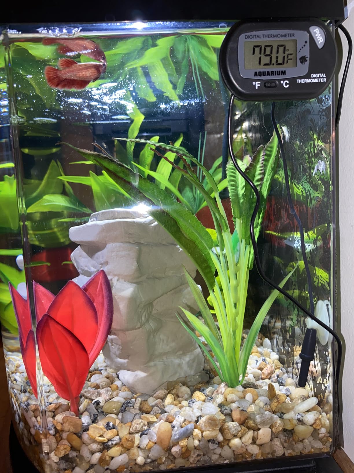 Zacro 2 Pack Digital Aquarium Thermometer, Fish Tank Thermometer, Water Thermometer with Large LCD Display, Reptile Thermometer for Fish Tank Water Terrarium customer photo 1