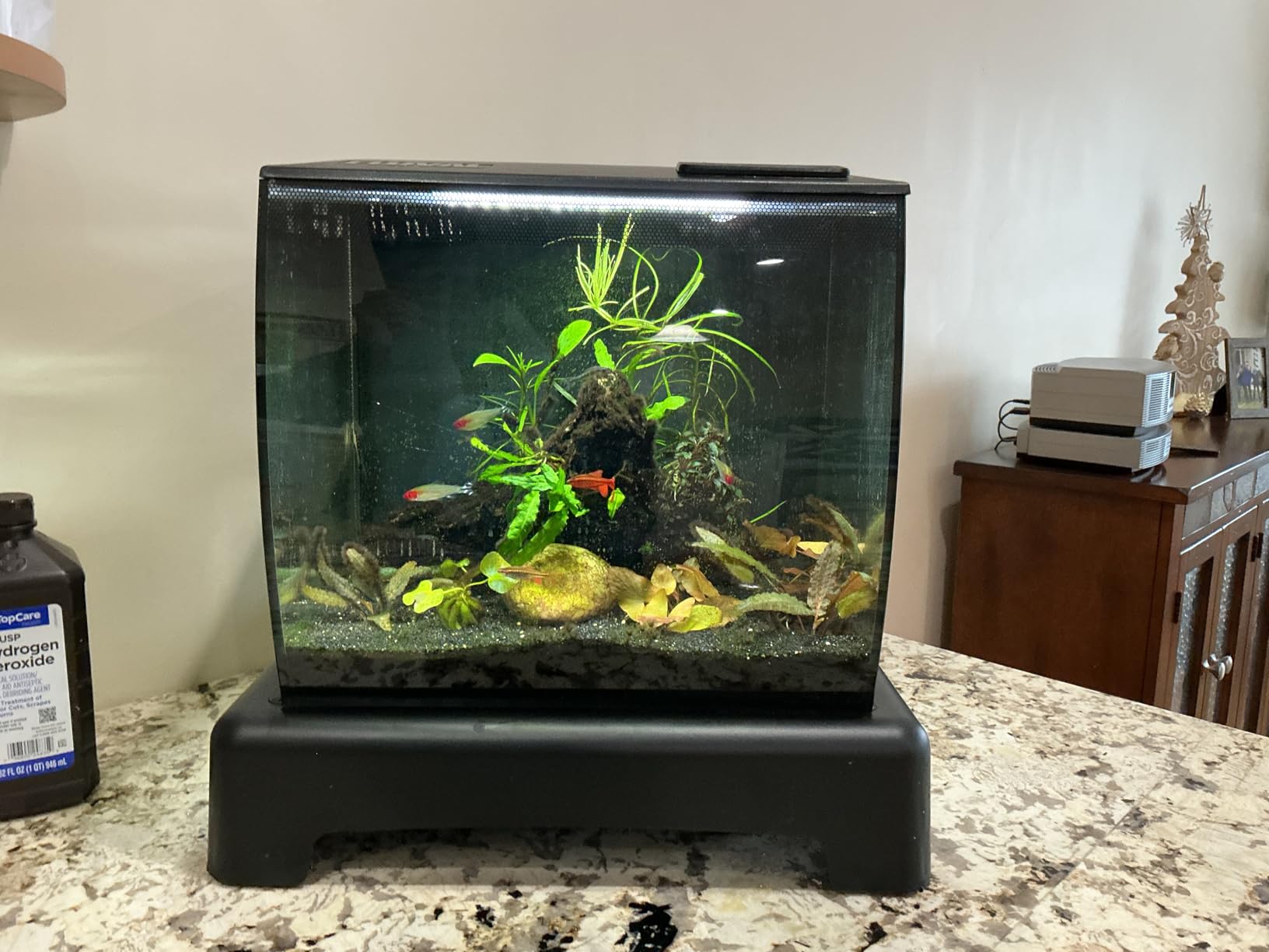 Thrive Planted Aquarium Fertilizer -All in One Planted Tank Liquid Fertilizers - Micro & Macro Nutrient Rich Food for Aquatic Plants - Highly Concentrated for 2500 Gallons of Water - Handy Pump Bottle customer photo 1