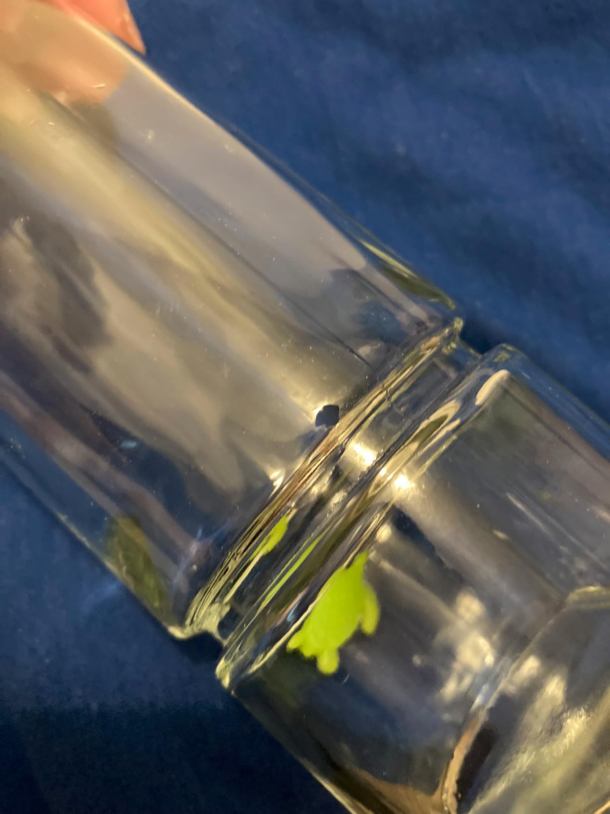 Lixit Chew Proof Flat Sided Water Bottles for Rabbits, Ferrets, Rats, Birds, Hamsters, Guinea Pigs, Chinchillas Gerbils and Other Small Animals - Made in USA (Clear, 12 Ounce) customer photo 1