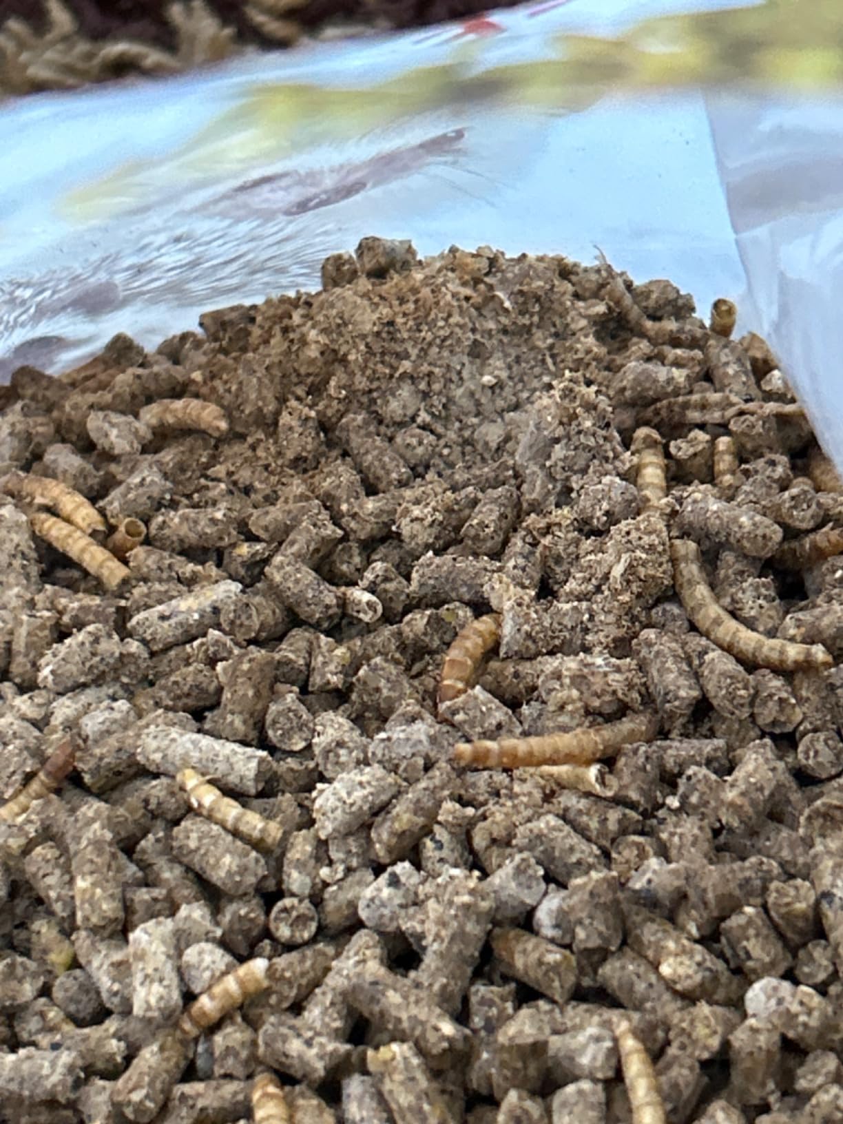 Exotic Nutrition Hedgehog Complete 5 lb - Nutritionally Complete Natural Healthy High Protein Pellets & Dried Mealworms - Food for Pet Hedgehogs customer photo 1