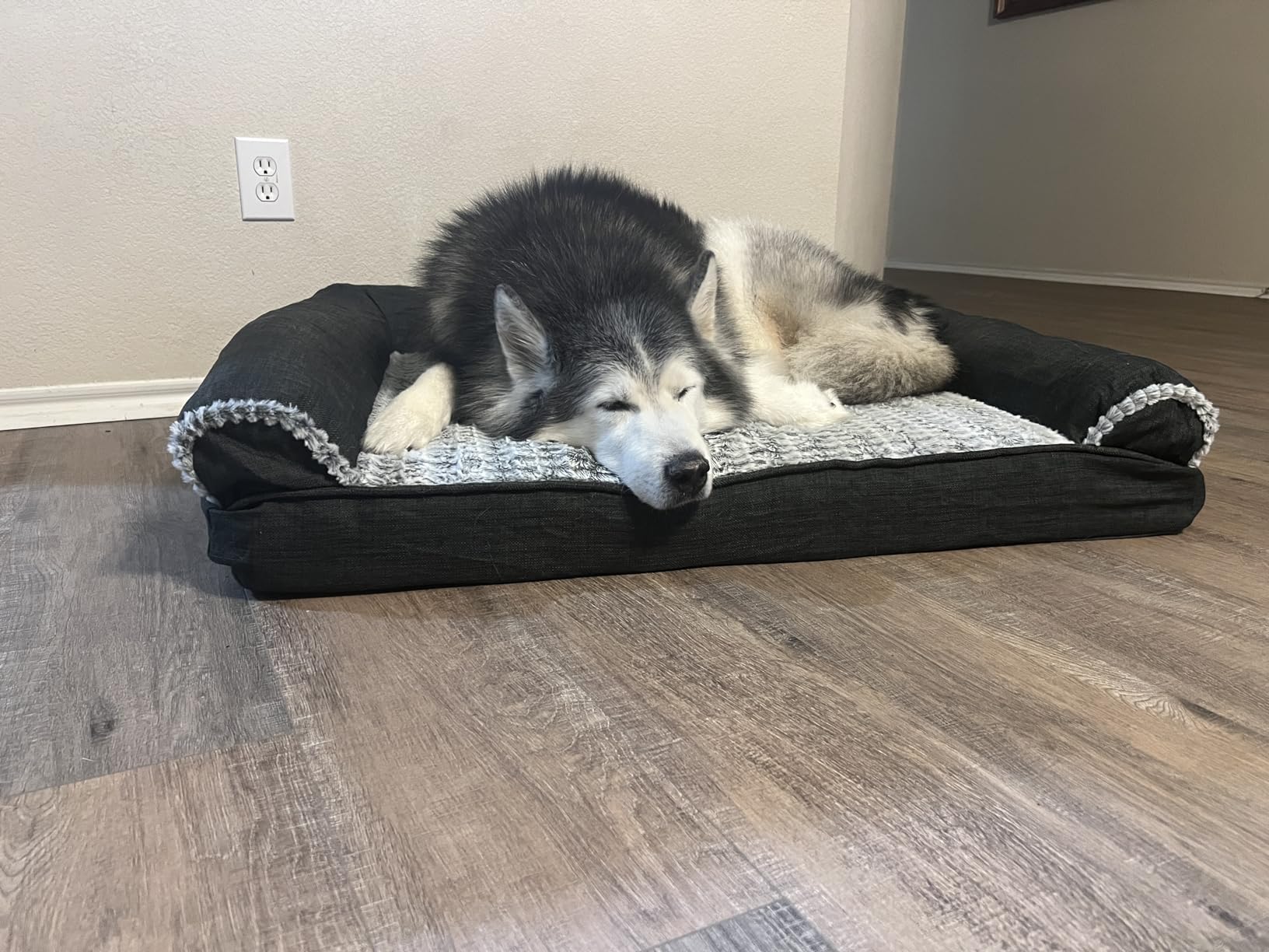 Furhaven Orthopedic Dog Bed for Medium/Small Dogs w/ Removable Bolsters & Washable Cover, For Dogs Up to 35 lbs - Plush & Suede Sofa - Gray, Medium customer photo 2