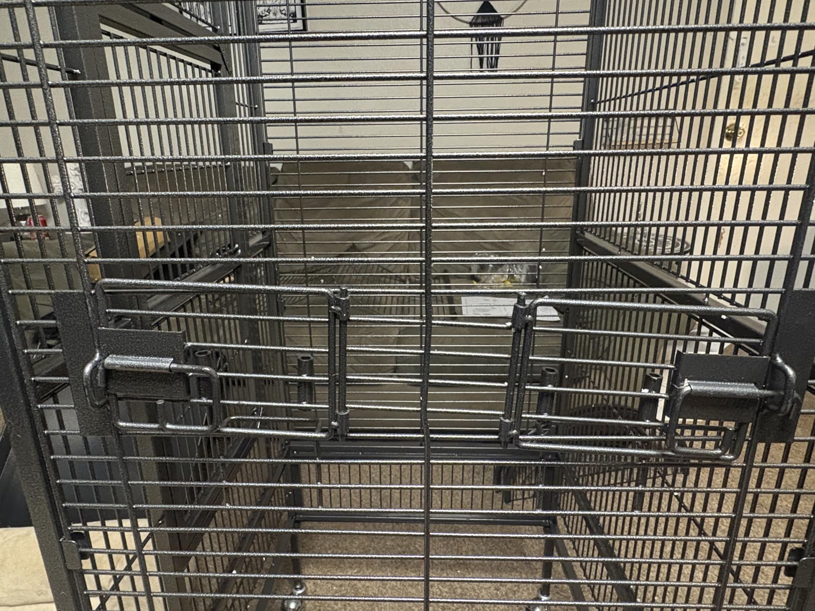Prevue Pet Products Dometop Bird Cage - Large, Black Hammertone | for Parrots, Conures, Caiques, Small Cockatoos, Big Bird Cage with Wheels, Indoor or Outdoor customer photo 1