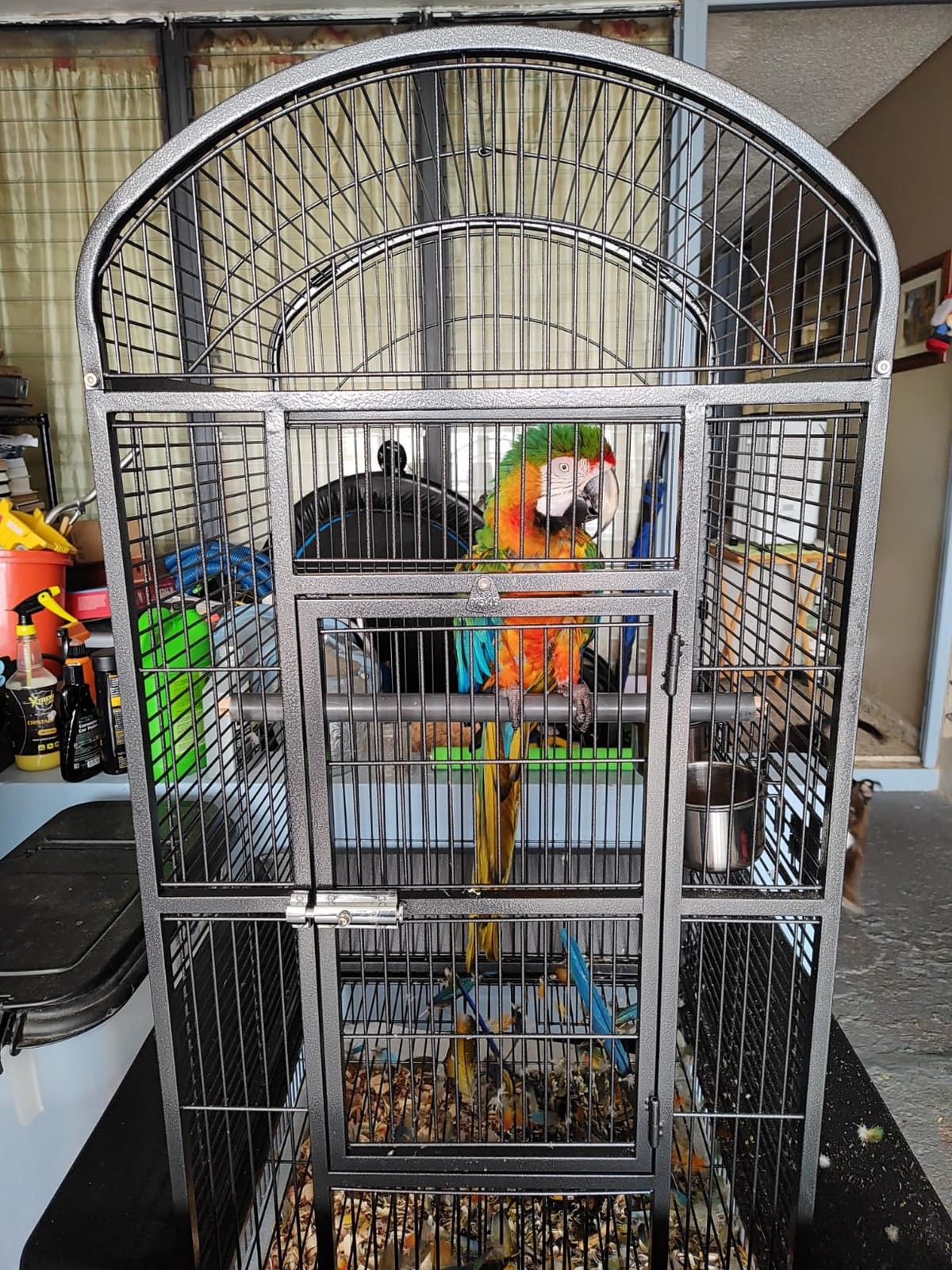 Prevue Pet Products Dometop Bird Cage - Large, Black Hammertone | for Parrots, Conures, Caiques, Small Cockatoos, Big Bird Cage with Wheels, Indoor or Outdoor customer photo 2