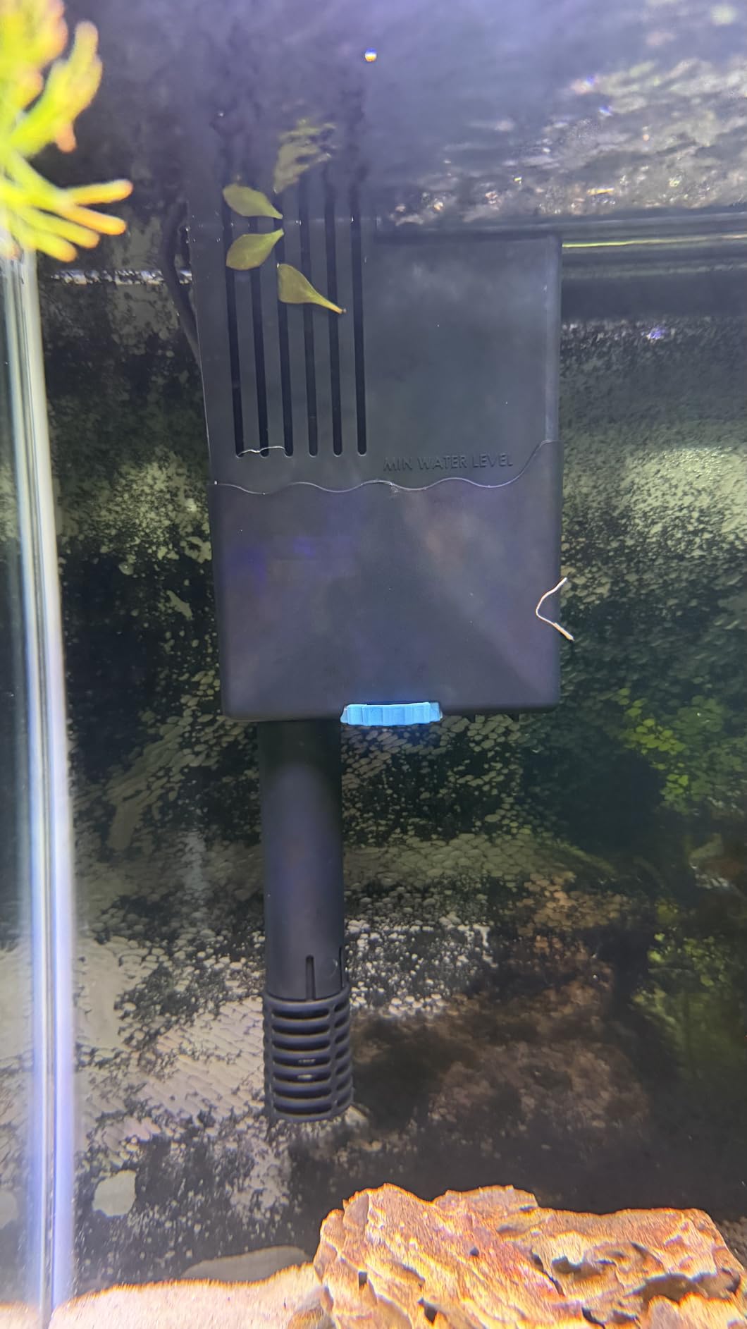 SeaChem Large Aquarium Fish Tank Filter, Tidal 75 Gallon (300 Liters) by Sicce customer photo 1