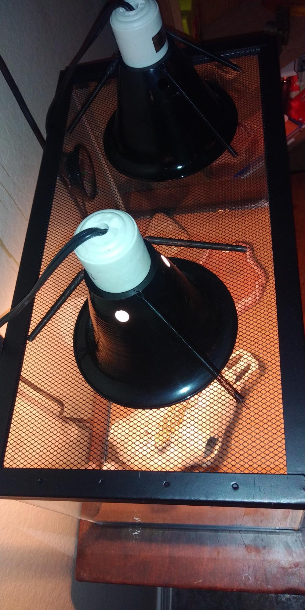 Zilla 10 Gallon Pet Reptile Starter Habitat Kit with Light and Heat for Small Desert Dwelling Animals customer photo 1