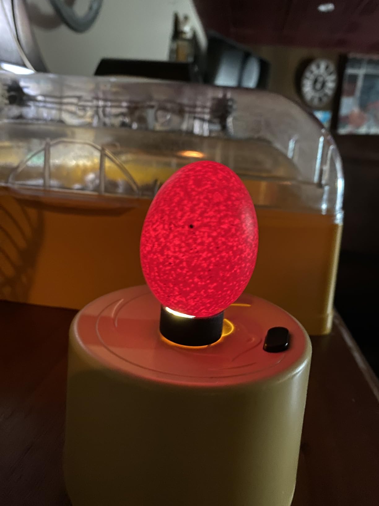 Titan Incubators High Intensity LED Chicken Egg Candler/Tester - Battery Powered customer photo 1