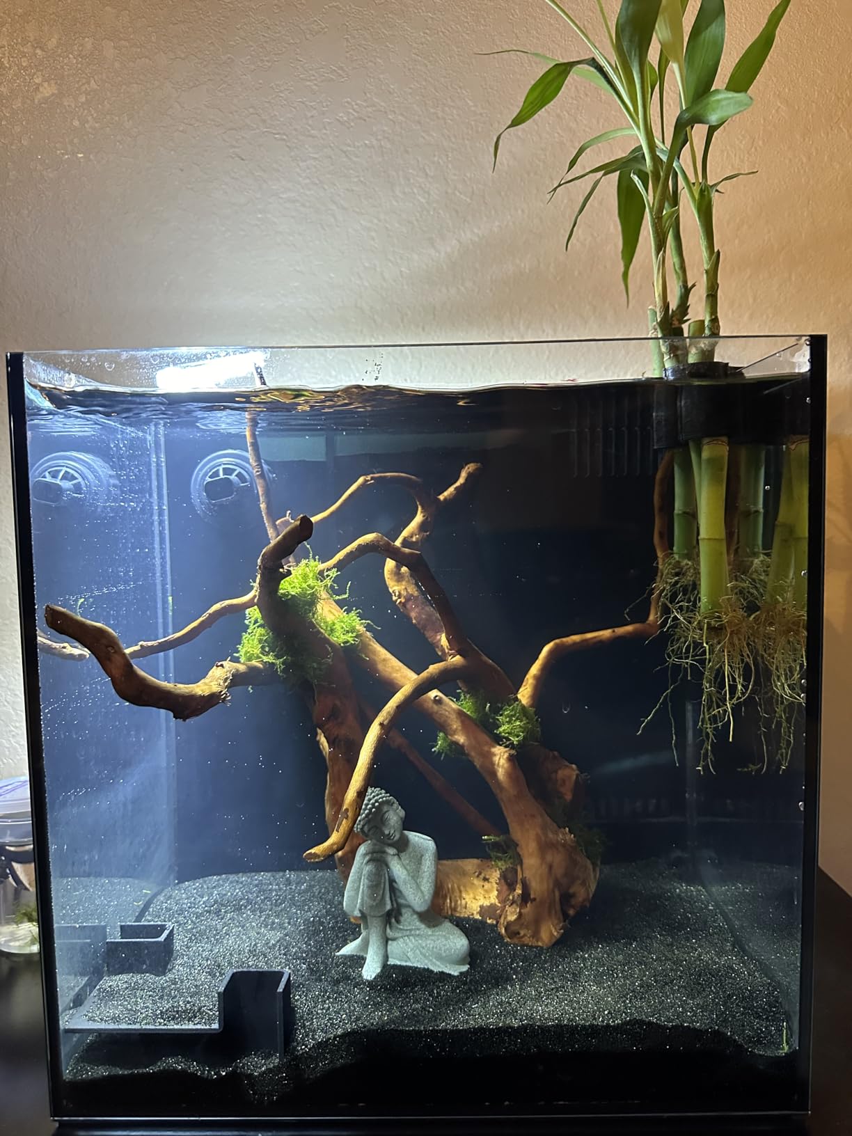 Landen 45P 15 Gallon Ultra Clear All Glass Rimless Low Iron Aquarium Tank with Rear Filtration Chamber(Return Pump Included)for Salt and Fresh Water.17.7''Wx17.7''Dx15.8''H in(45x45x40cm)6mm Thickness customer photo 2