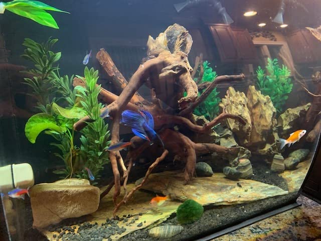 Hagen Flex Freshwater Kit - Black - 15 gal customer photo 2