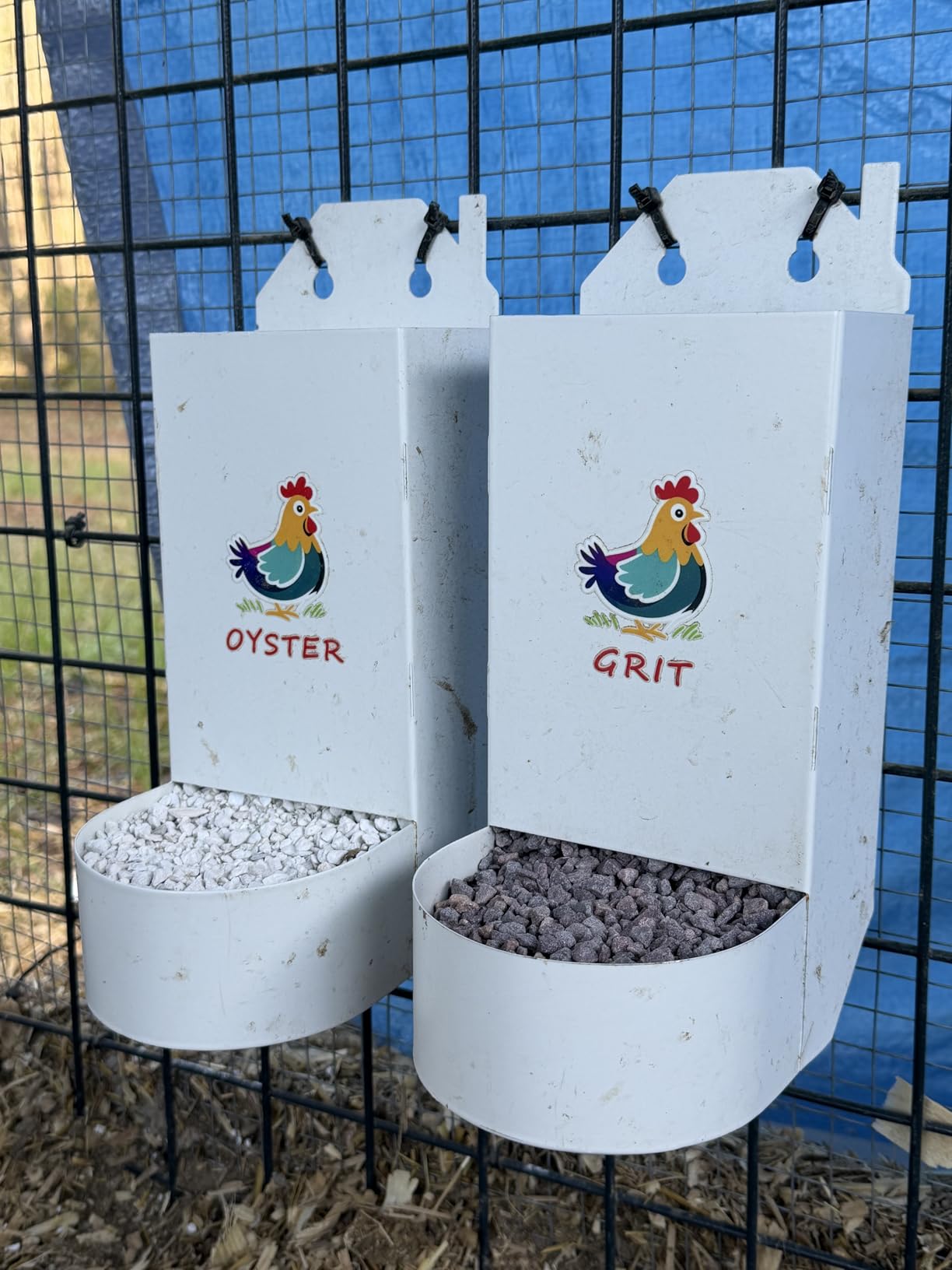 Manna Pro Chicken Grit with Probiotics for Healthy Chick Digestion, 5 lb customer photo 1