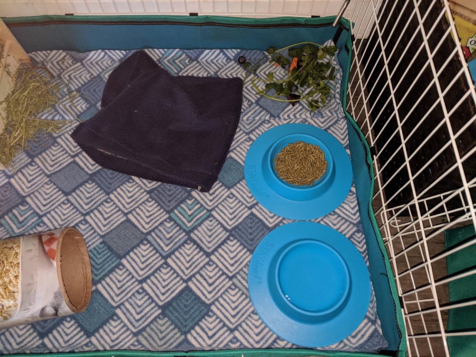 Tip-Proof Bowl for Guinea Pigs and Other Small Pets - Sky Blue - Large 3/4 Cup Size customer photo 2
