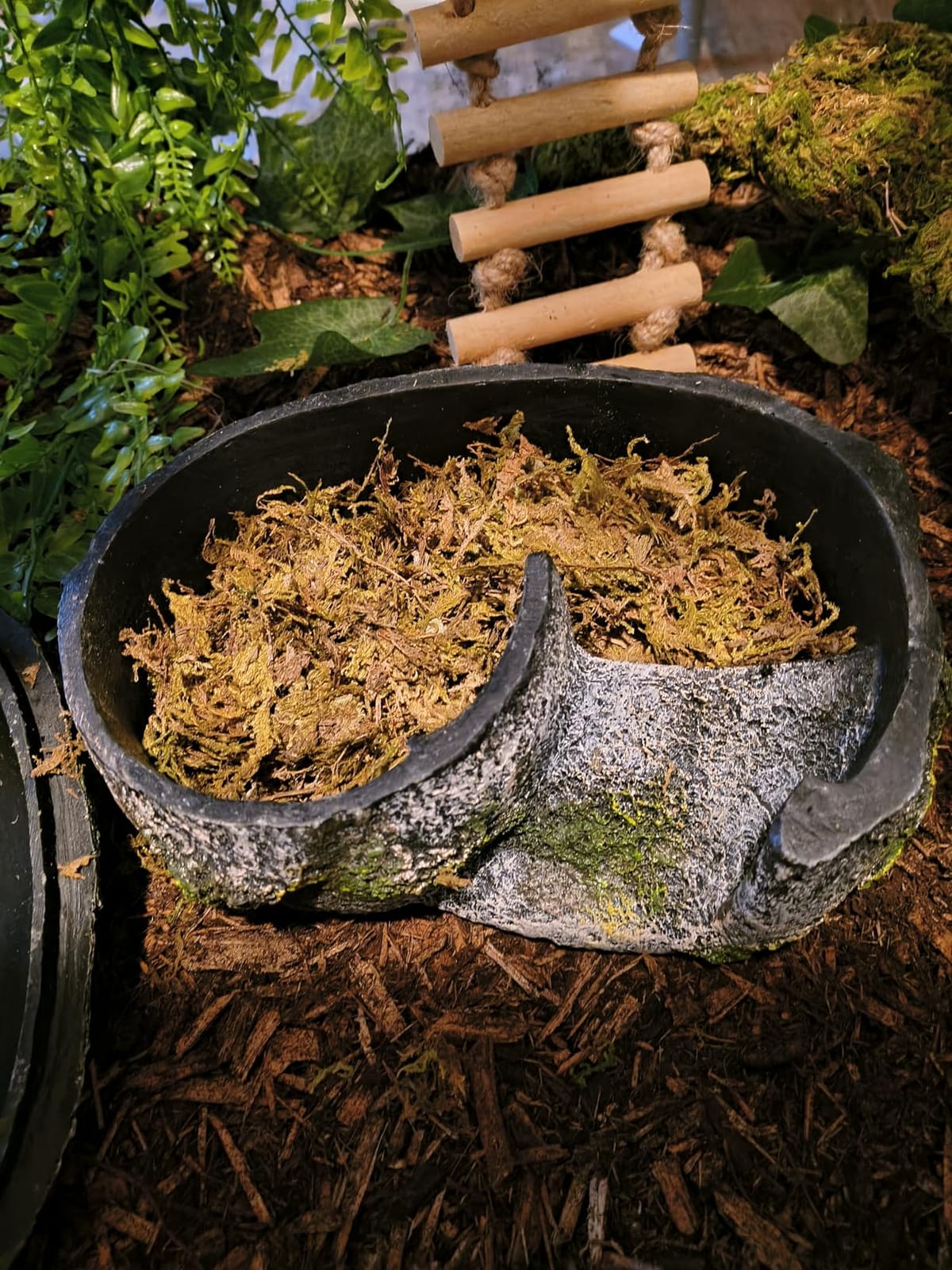 Zilla Rock Lair, Naturalistic Hide, Supports Shedding and Egg-Laying, Retains Humidity, Ideal for Snakes and Lizard, Large customer photo 1