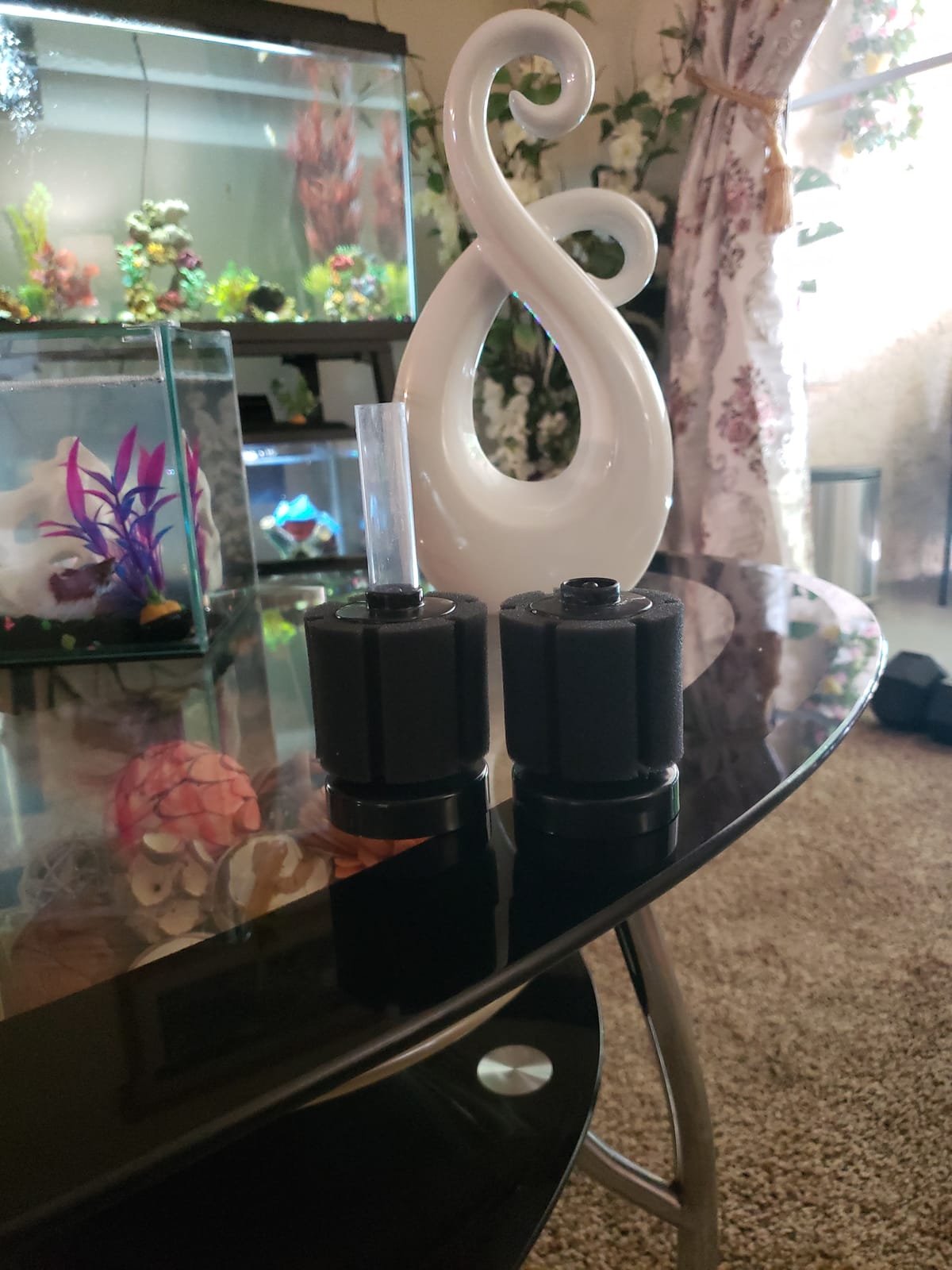 SunGrow 10-Gallon Betta Sponge Filter, Underwater Center Aquarium Filter, Attach it to Air Pump (Not Included) to Run, Works for Tropical Fish & Breeder Aquarium, Perfect for Fry & Small Fish customer photo 1