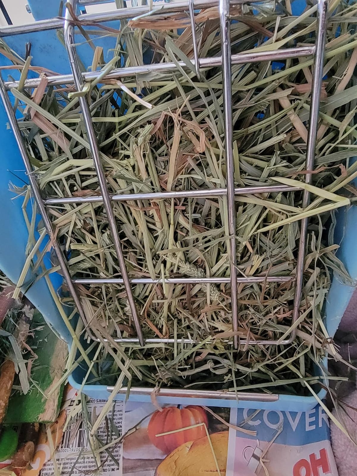 Oxbow Timothy Hay & Orchard Blend, Rabbit & Guinea Pig Hay, USA, 40 oz customer photo 2
