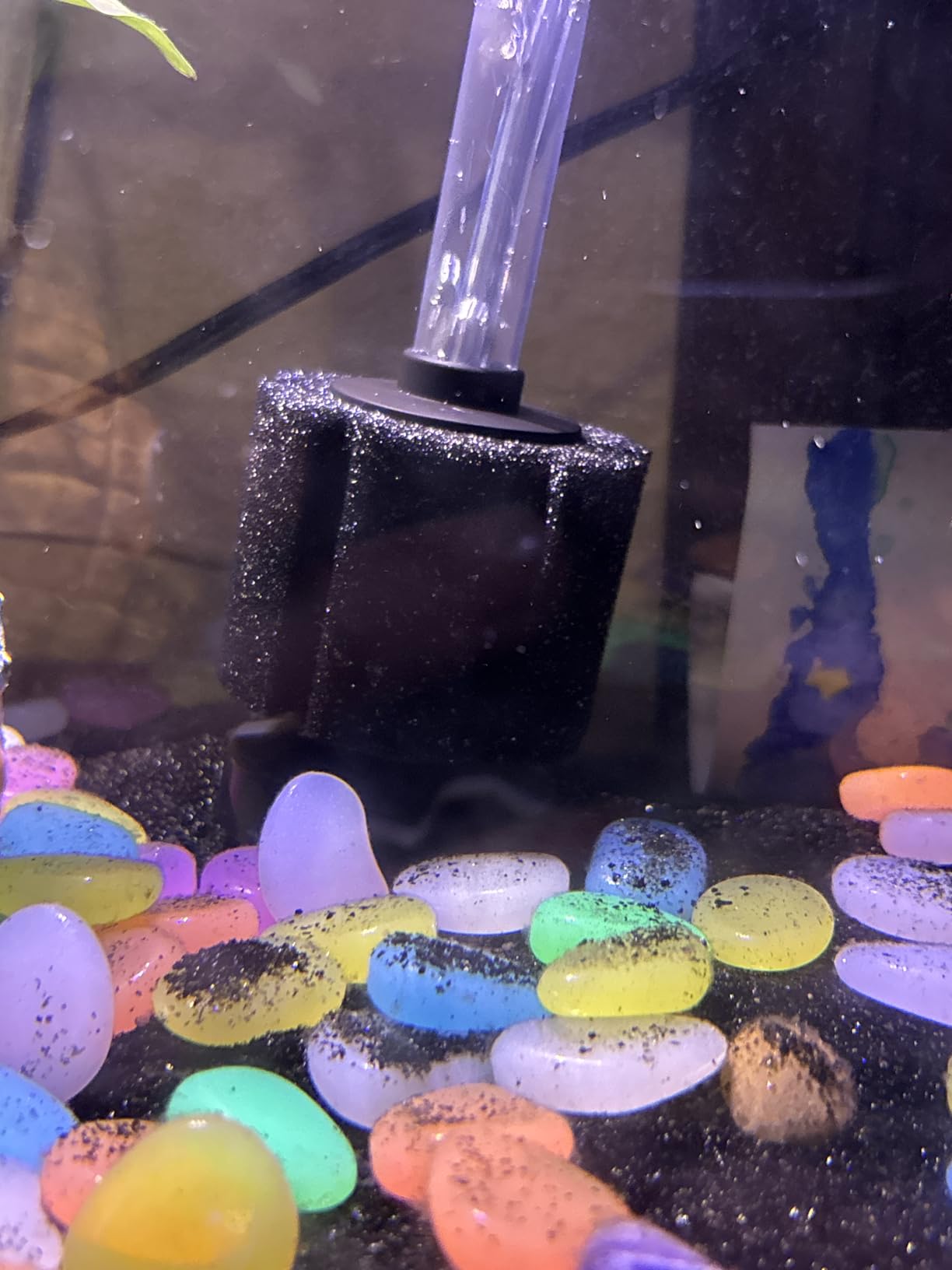 AQUANEAT Aquarium Bio Sponge Filter Breeding Fry Betta Shrimp Nano Fish Tank (Small up to 10Gal) customer photo 1