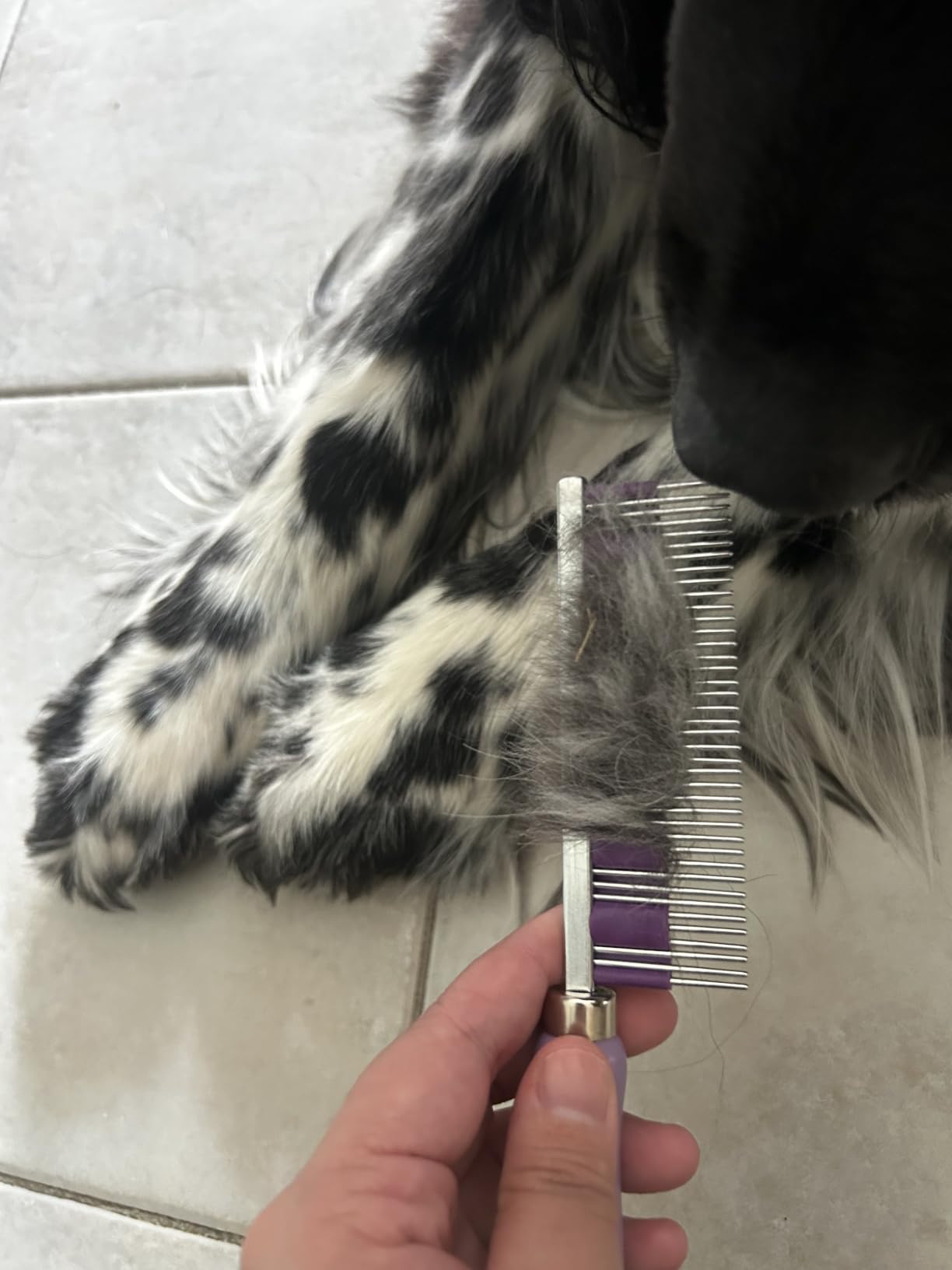Small Pet Select - Hair Buster Comb for Rabbits, Cats and Dogs, Metal Pet Comb for Shedding and Detangling, Grooming Tool for Small Pets with Long and Short Fur | Metal Grooming Comb, Reduces Shedding & Detangles Fur, For Long & Short Coats, Rabbits, Cats, Dogs & Pets customer photo 2