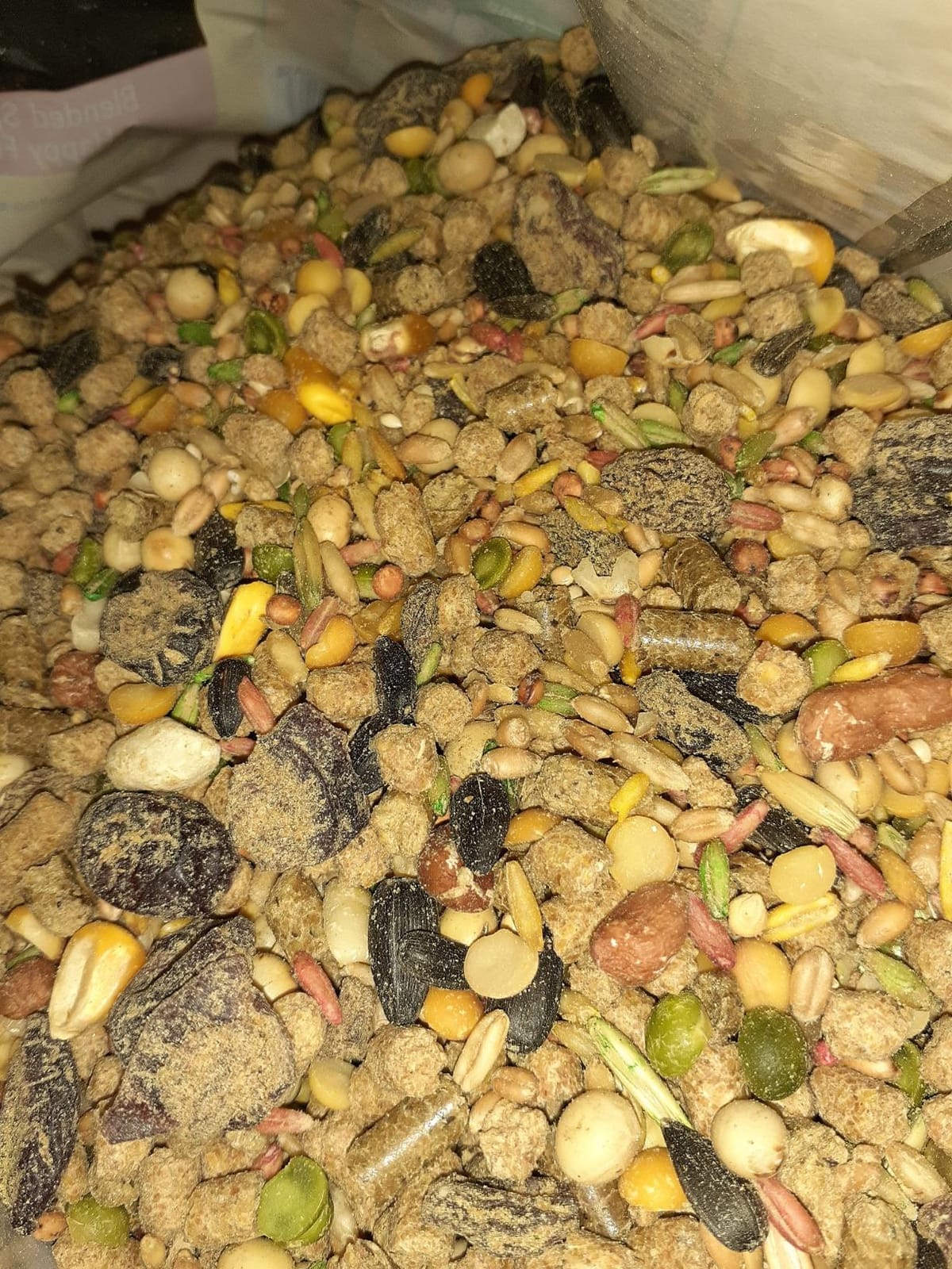 Wild Harvest Hamster And Gerbil Advanced Nutrition Diet, 4-Pound, Multicolor, One Size (E1950W), 4 pounds customer photo 1