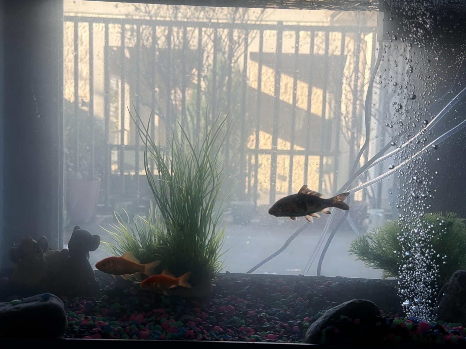 Pawfly Aquarium 15-40 GPH Compact Air Pump Quiet Oxygen Aerator Pump with Air Stone/Nano Bio Sponge Filter Airline Tubing and Check Valve Accessories for 3-20 Gallon Buckets and Fish Tanks customer photo 2