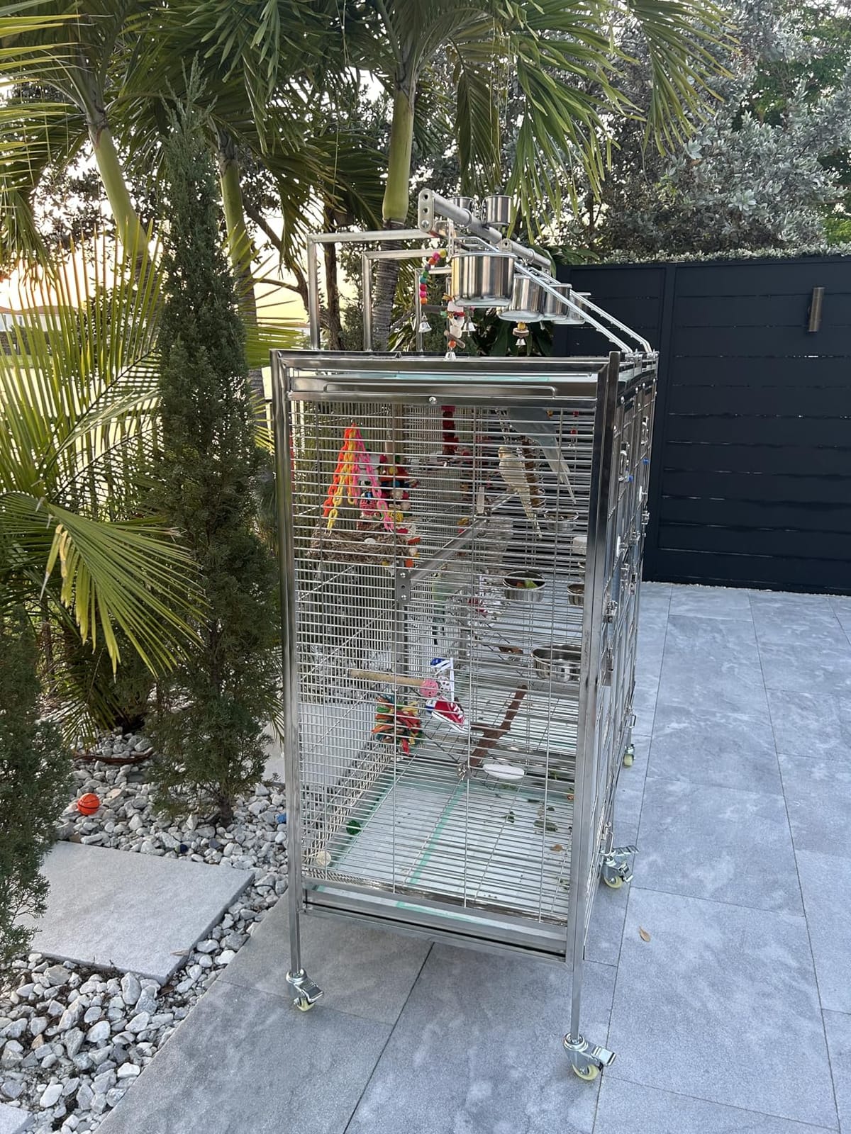 Prevue Pet Products Stainless Steel Playtop Bird Cage - Medium | Ideal for Cockatiels, Quakers, Green Cheek Conures, Parakeets, Lovebirds, Small Amazons, Parrots, Rolling Enclosure customer photo 1