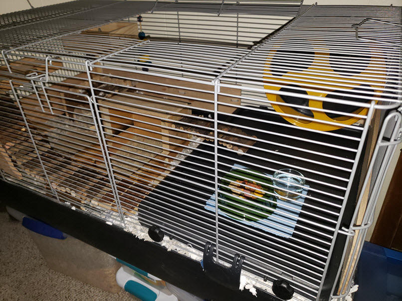 Prevue Pet Products Universal Small Animal Home - Small Animal Cage for Hamsters, Guinea Pigs, Ferrets, Dwarf Rabbits, Rats, Chinchillas, Hedgehogs, Indoor Use, Tight Wire Spacing - Gray customer photo 1