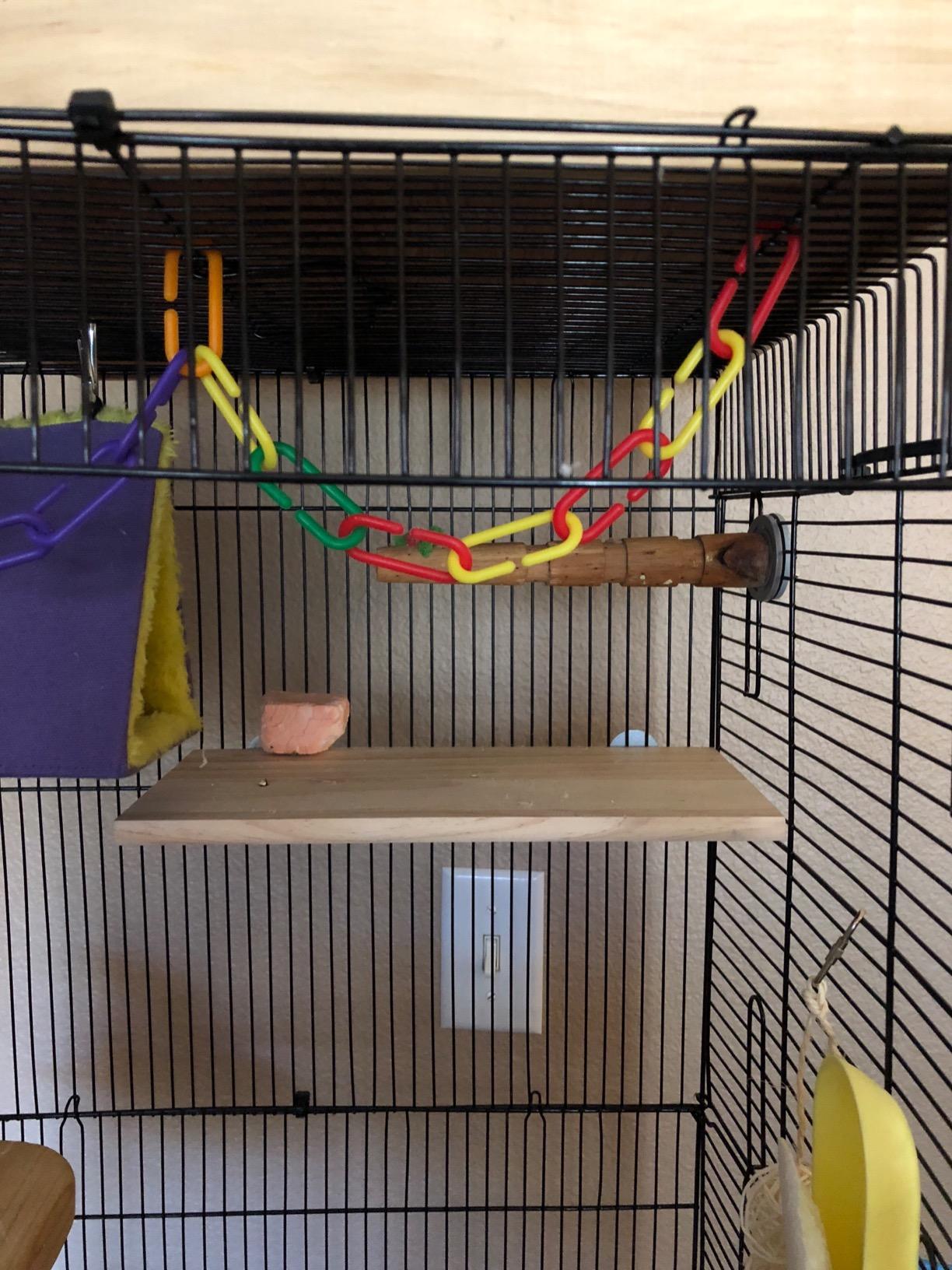 Space Expanding Natural Wood Hamster Platform Set, DIY Small Animal Playground Accessories for Hamster Cage, Climbing & Resting Toys with Adjustable Screws for Hamsters, Chinchillas, Gerbils customer photo 2