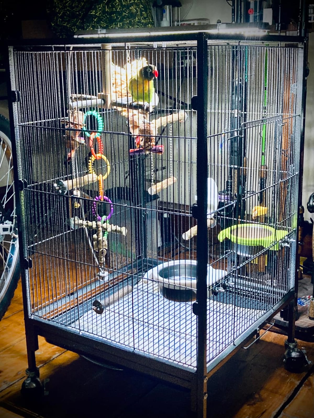 HappyBird Lighting Bird Cage Light with Chew Guard - Full Spectrum LED Pet Light - Simulates Natural Environment - Safe for Hookbill Birds - Easy to Install - (18