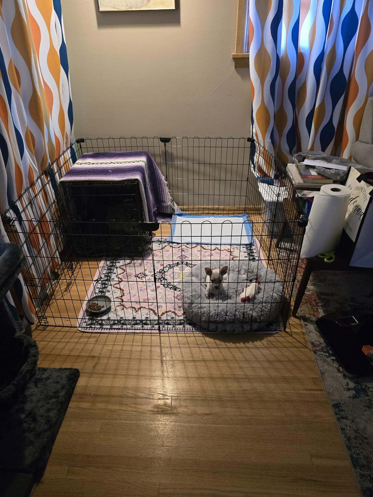 Amazon Basics Foldable Octagonal Metal Exercise Dog Playpen, Indoor/Outdoor Pet Fence, No Door, 8 Panels, Extra Small, 24 x 24 Inches, Black customer photo 2