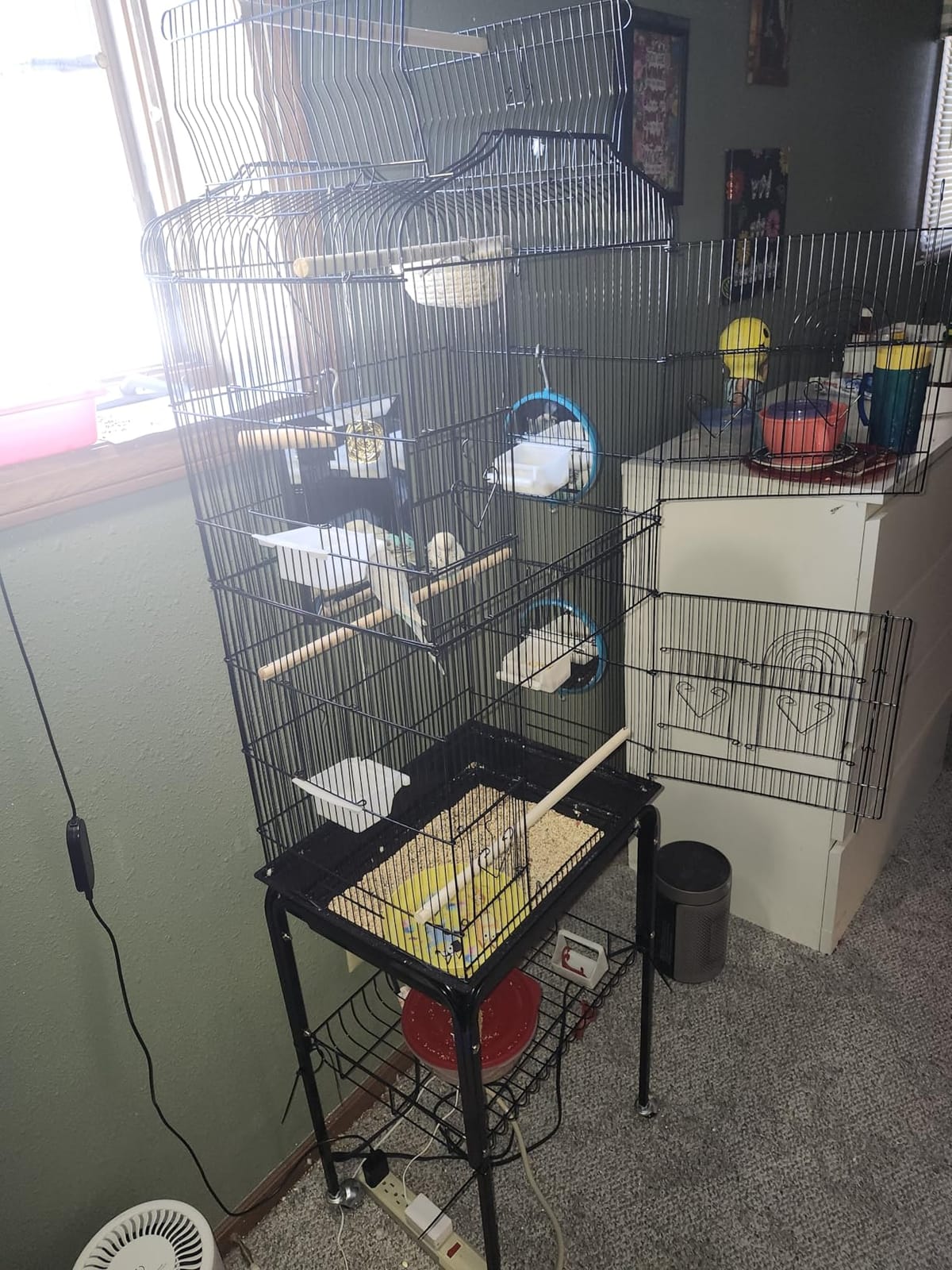 Yaheetech 64'' Open Top Bird Cage for Parakeets & Cockatiels, Black customer photo 1