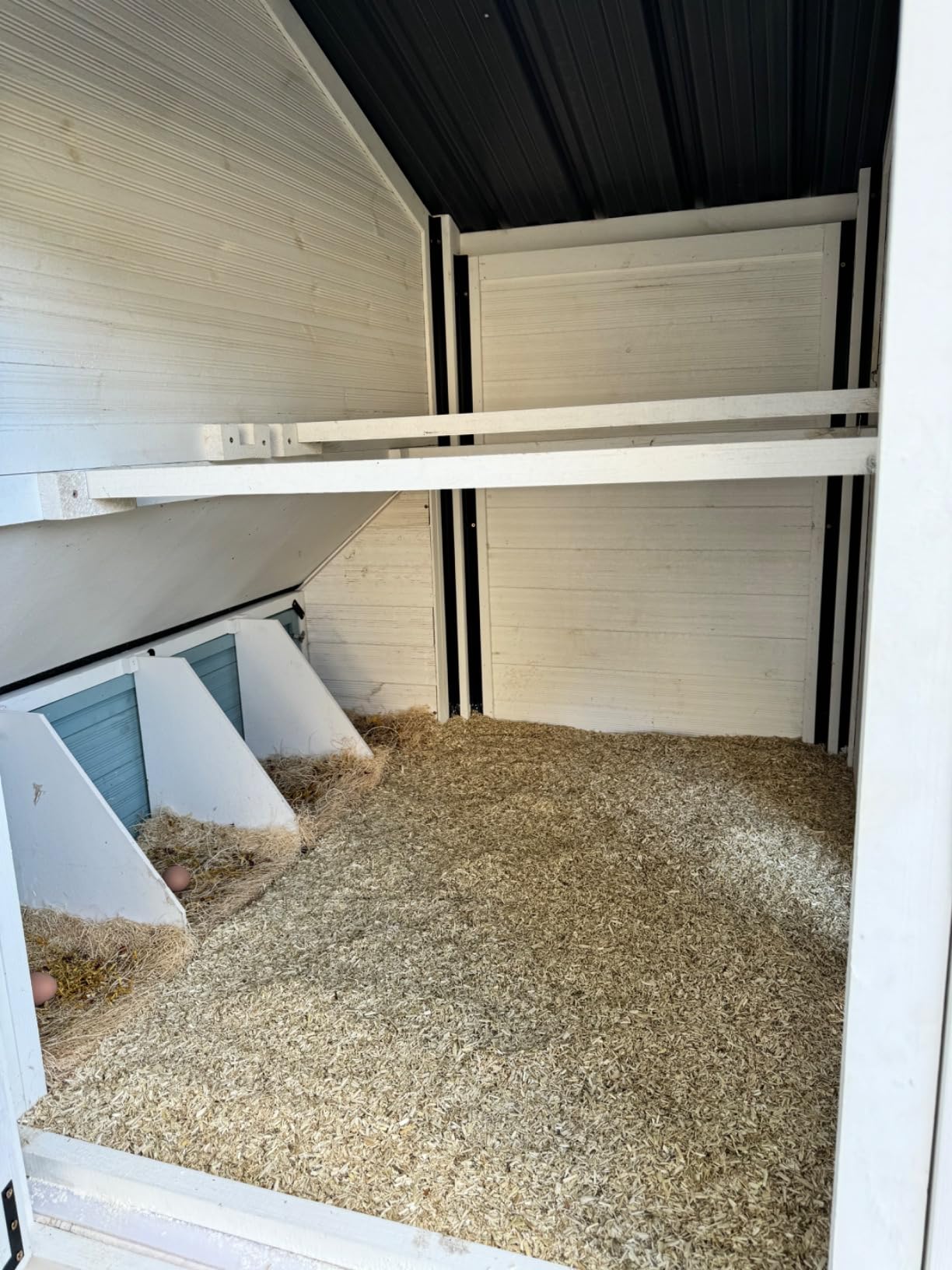 RentACoop Premium Hemp Bedding for Chickens, Rabbits, Horses - 300L (30lbs) | Super Absorbent, Low Dust, Natural Odor Control for Chicken Coops, Nest Boxes, Small Animals, Reptiles & Horses customer photo 1