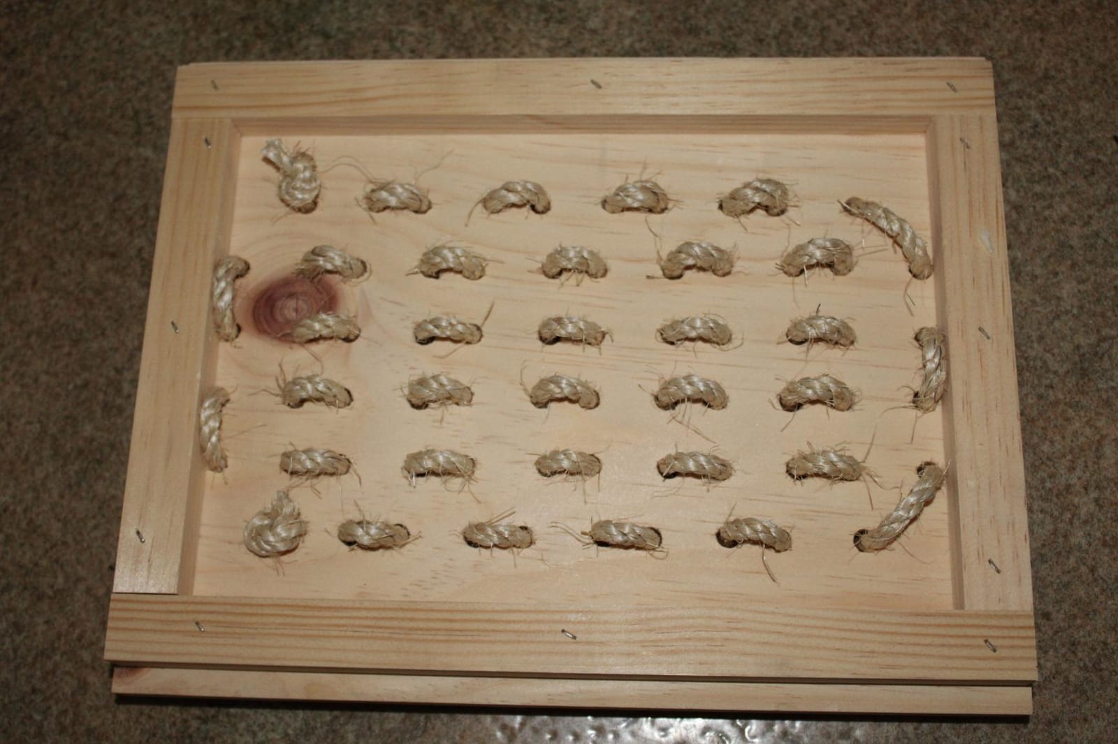 Small Pet Select - Digging Platform-Plywood | Natural Digging Enrichment, Reduces Boredom, For Rabbits, Guinea Pigs, Bunnies & Other Small Pets customer photo 2