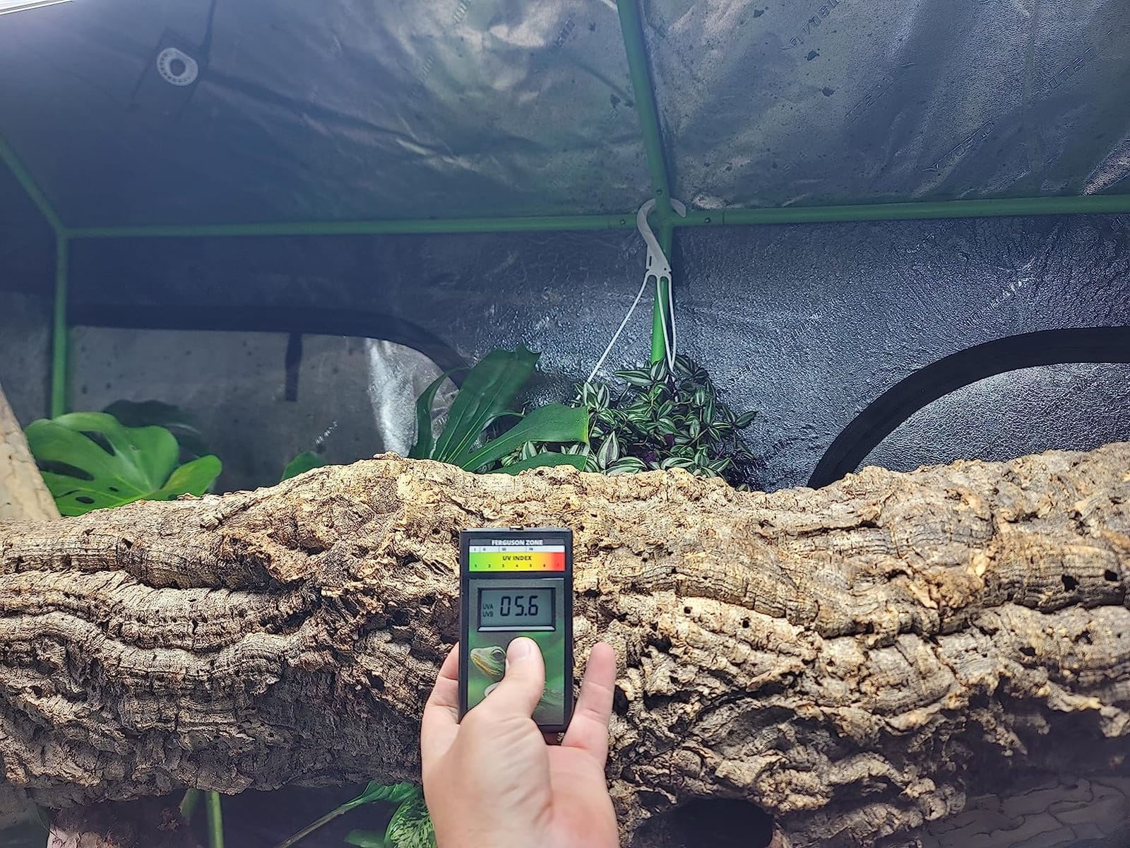 Model 6.5R Reptile UV Index Meter, Handheld Digital Radiometer for Measuring Ultraviolet Light, Measures 280-400 nm with Range from 0-199.9 UV Index, Made in USA, ABS Polymer, Black customer photo 1