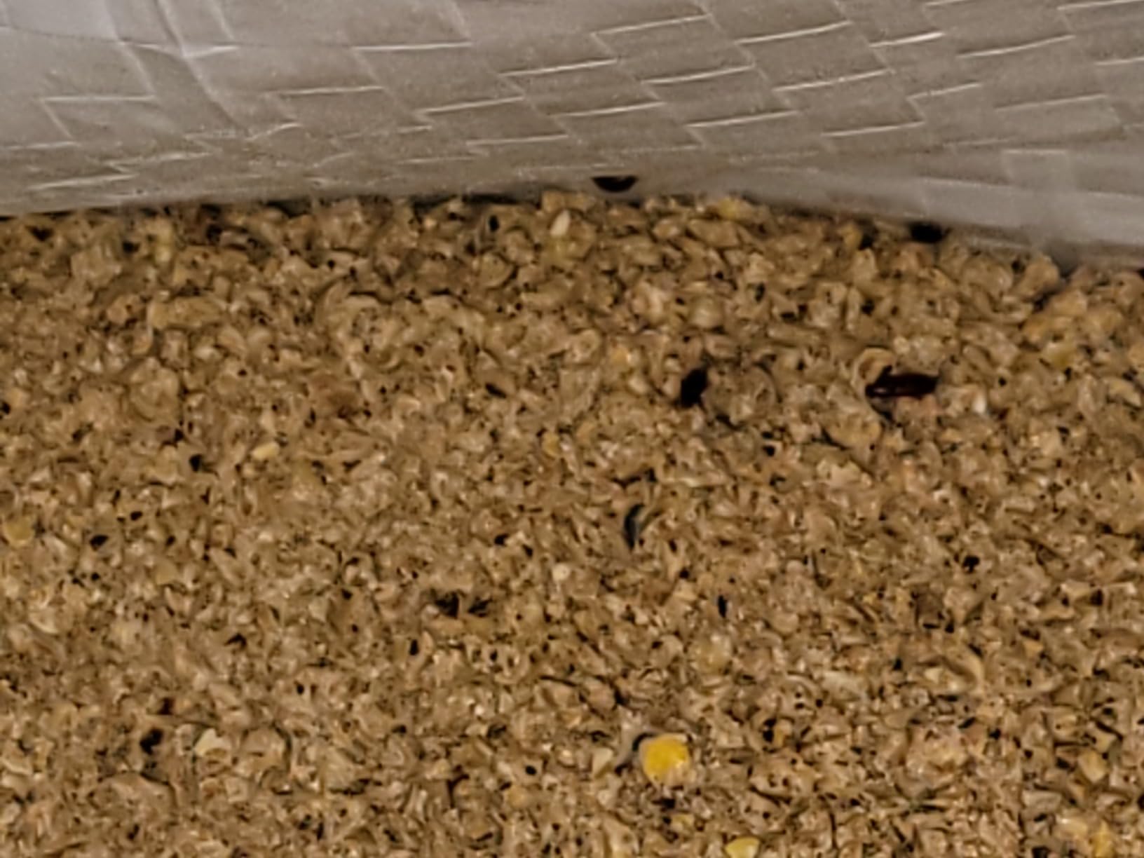Country Heritage Hen Egg Layer Pellet 50lbs - 16% Protein Chicken Feed for Increased Egg Production & Strong Eggshells, High Protein customer photo 1