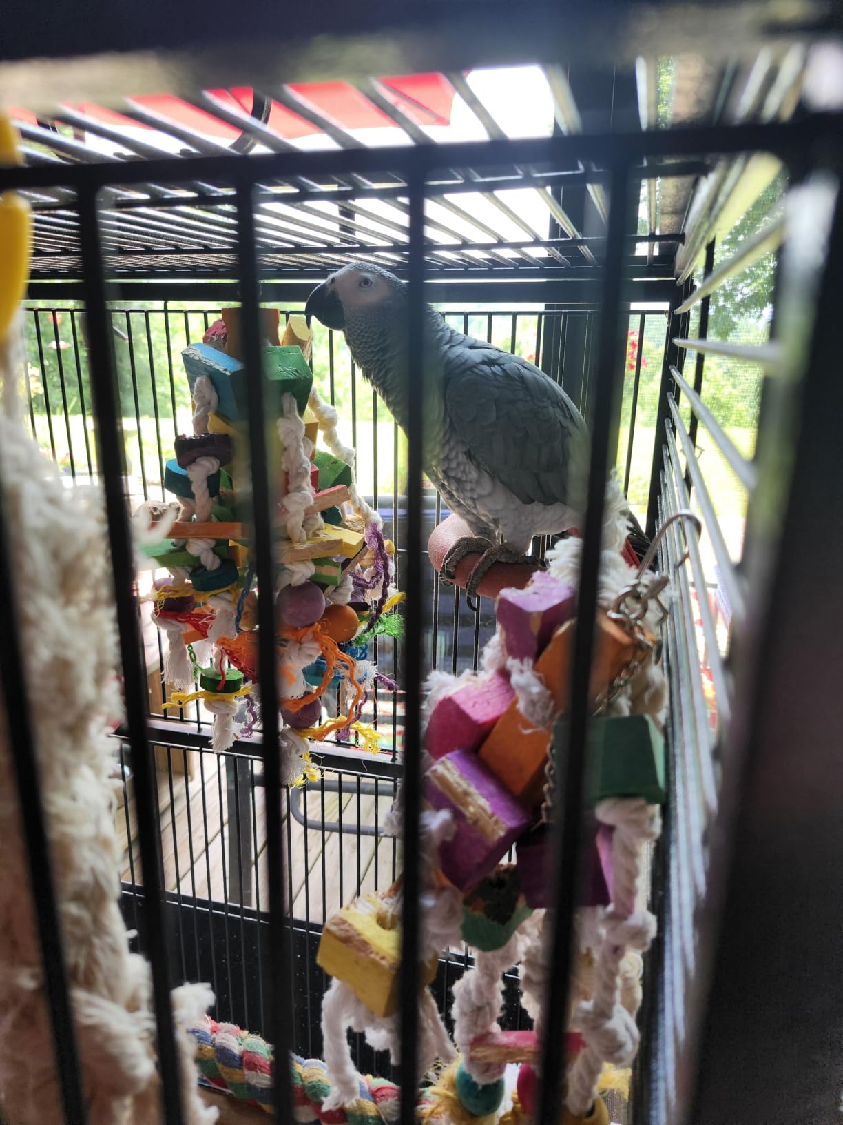 Extra Large Natural Wood Bird Toys for Macaws, African Grey, Amazon Parrots - MEWTOGO, Fun to Climb, Swing, Chew, Unravel, Preen, Brightly Colored Bird Gifts customer photo 1