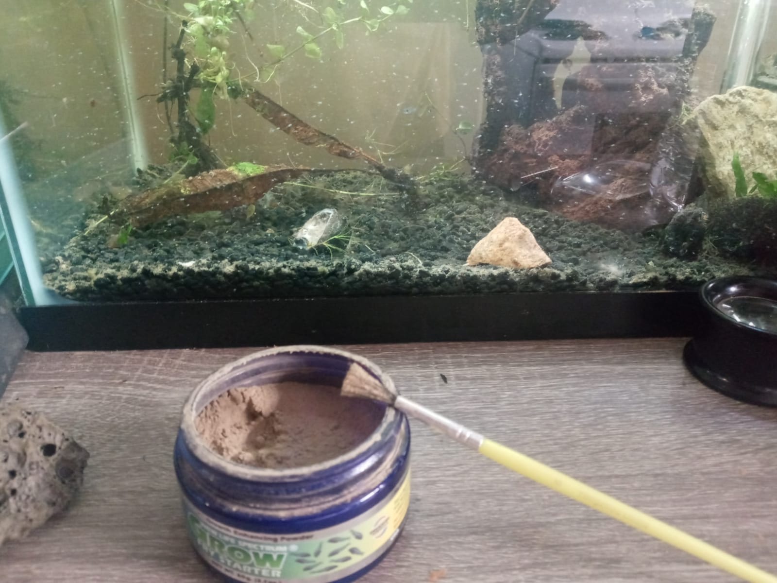 New Life Spectrum Grow Fry Starter 60g (Naturox Series) customer photo 1