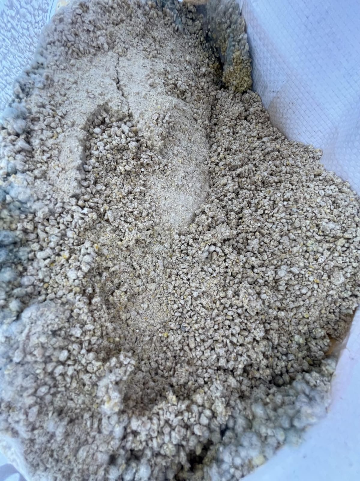 Purina Start and Grow | Non-Medicated Chick Feed Crumbles | Nutritionally Complete - 25 Pound (25 lb.) Bag customer photo 2