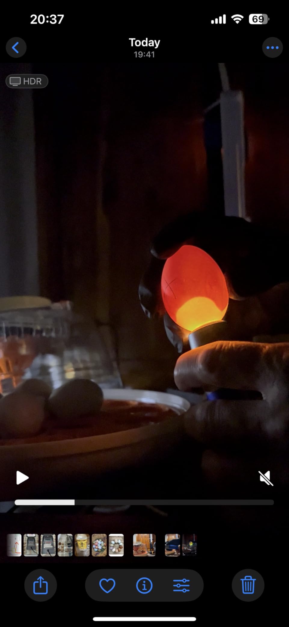 Incu-Bright Ultra Bright LED Egg Candler - Portable Light for All Egg Size customer photo 1